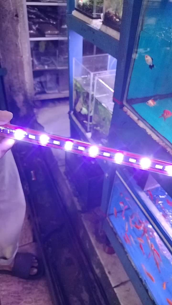 @UniJambi_Aquarium