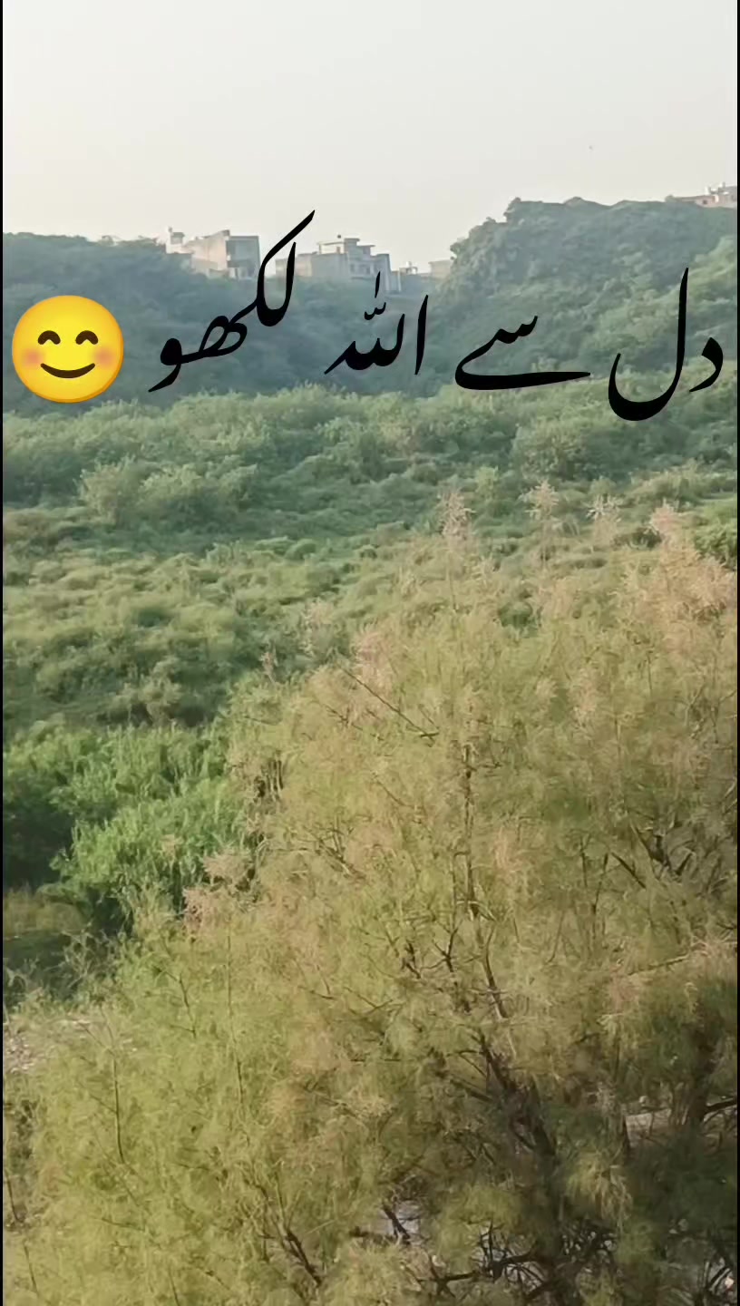 @ISLAMIC VIDEOS✅