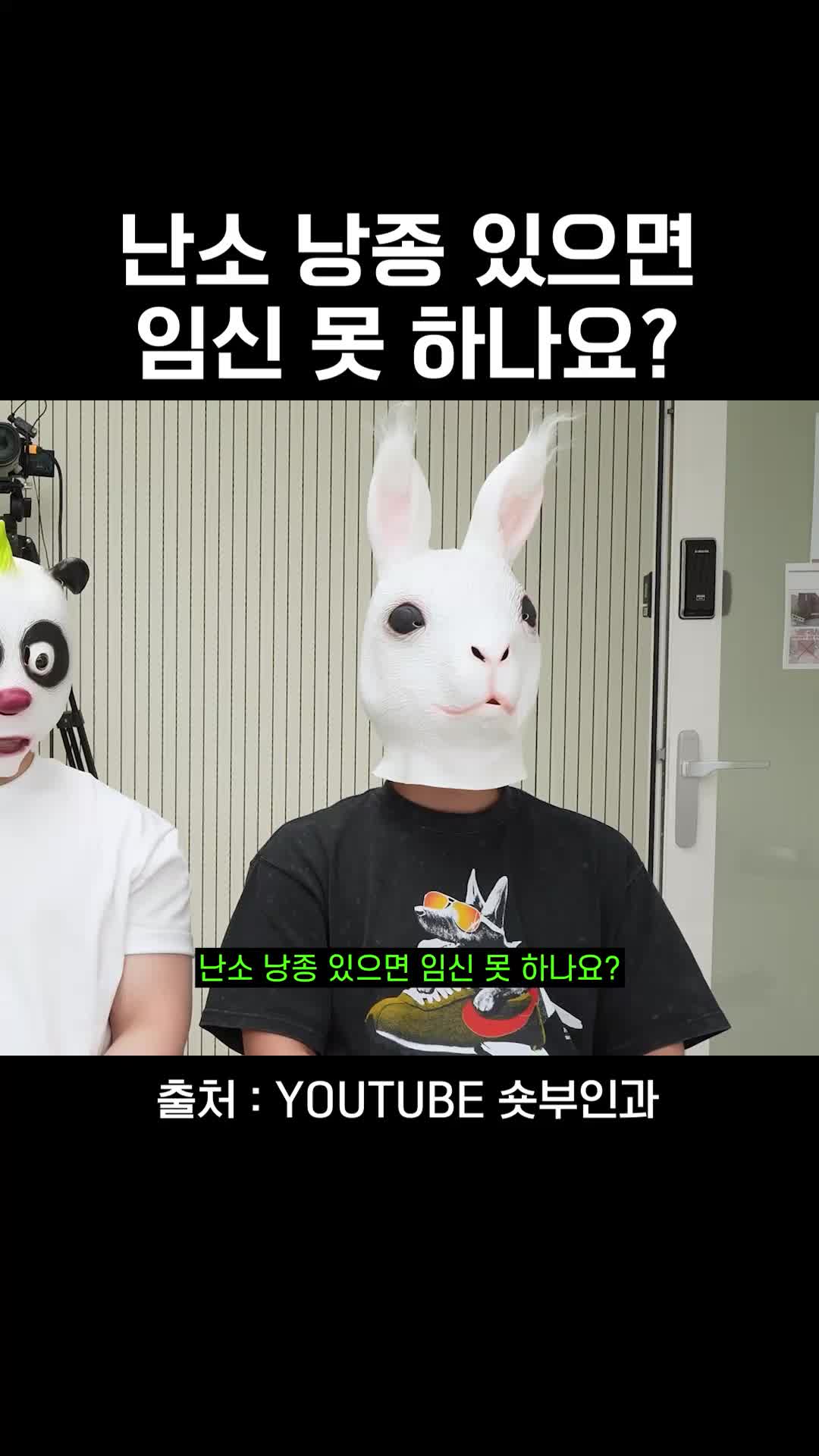@와이퀸