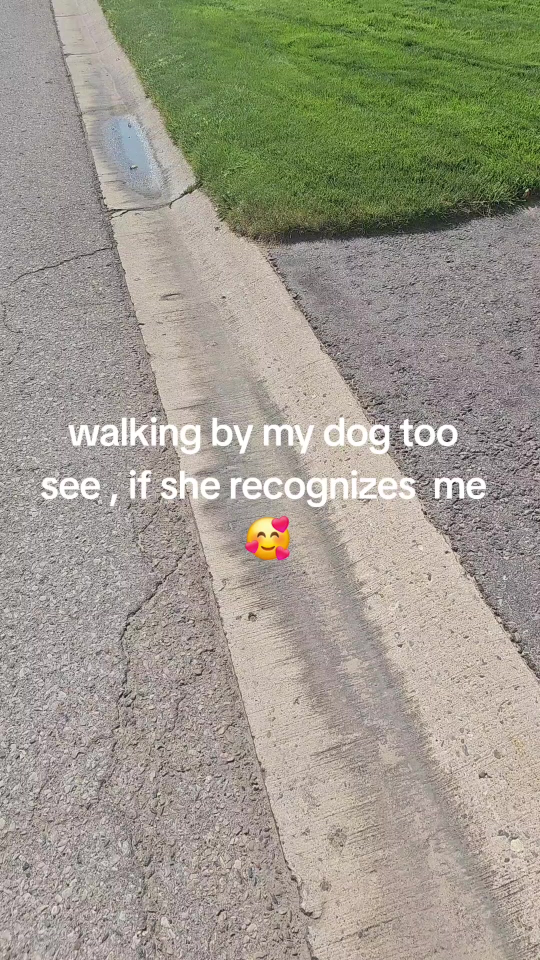 @cutiepie_sara1040