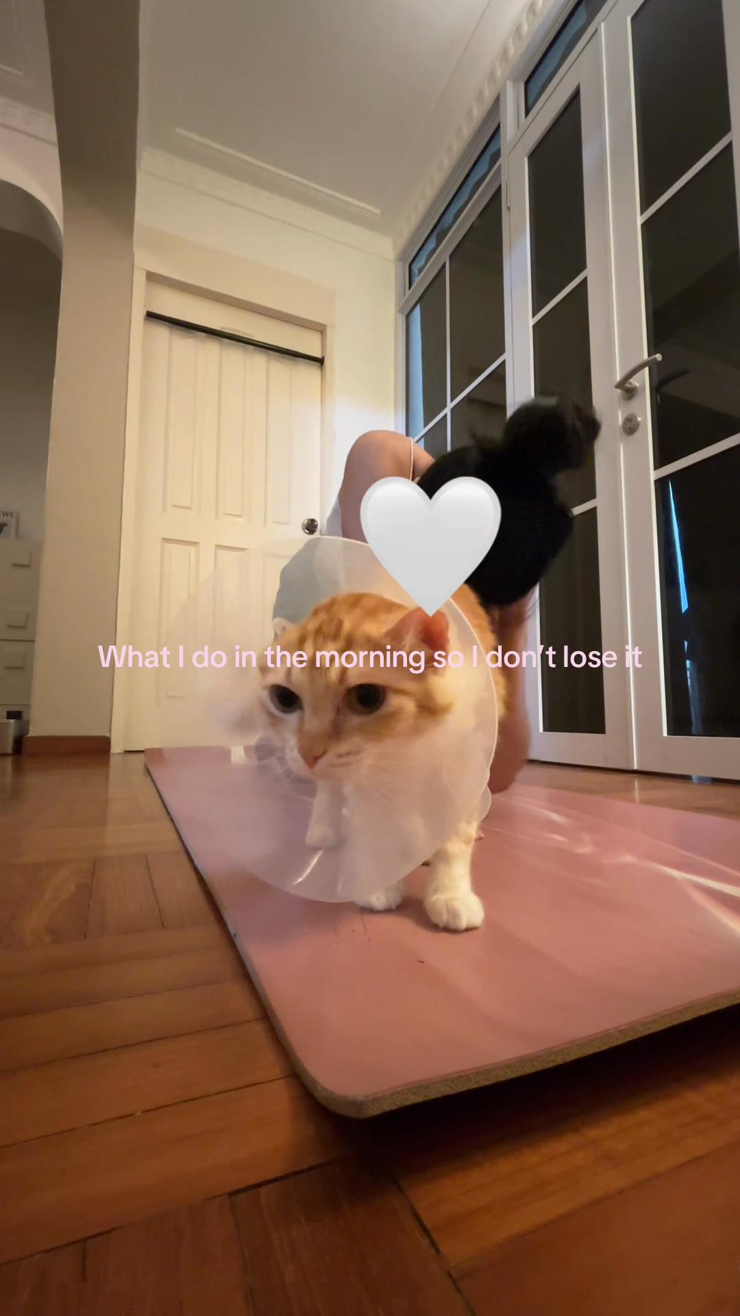 @shazyyyy
