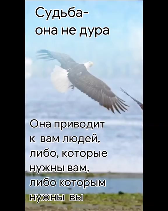 @СтрунаДуши
