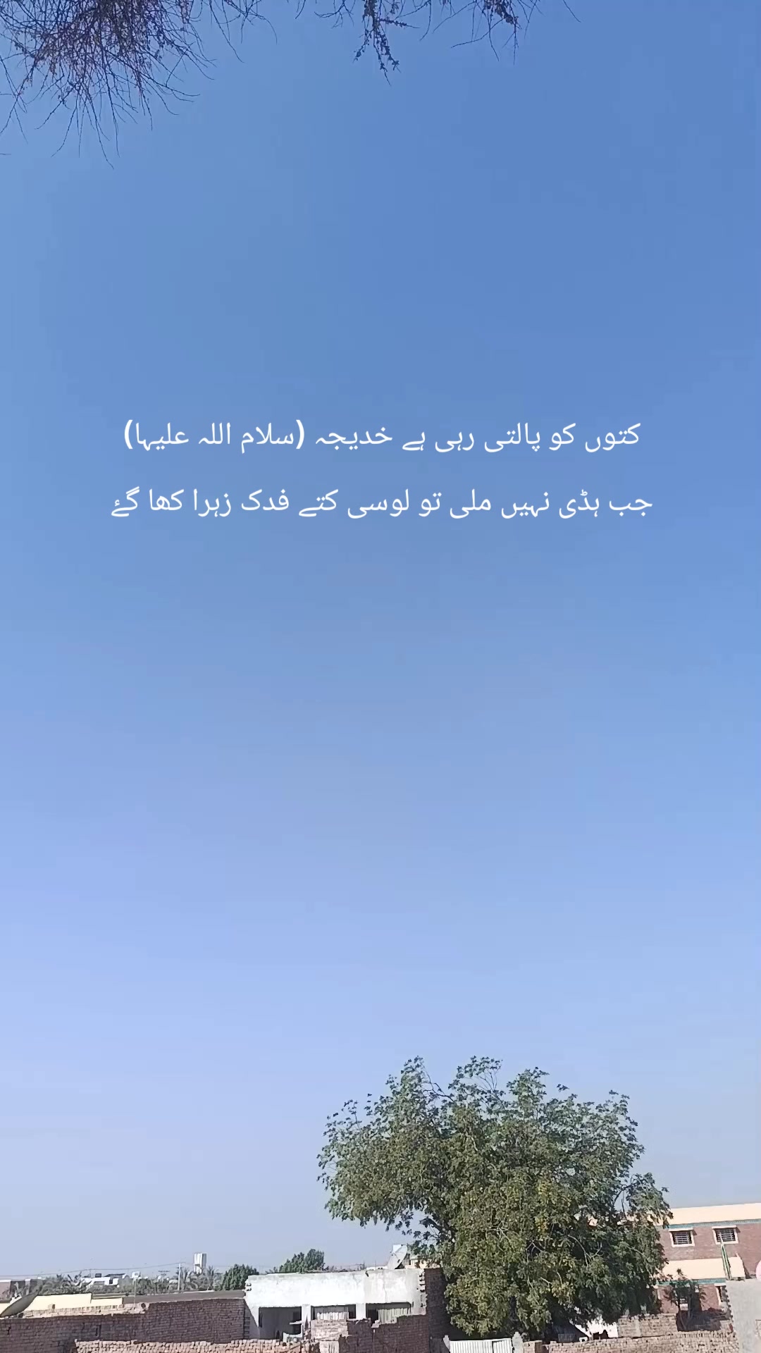 @Syed amir gillani 121472