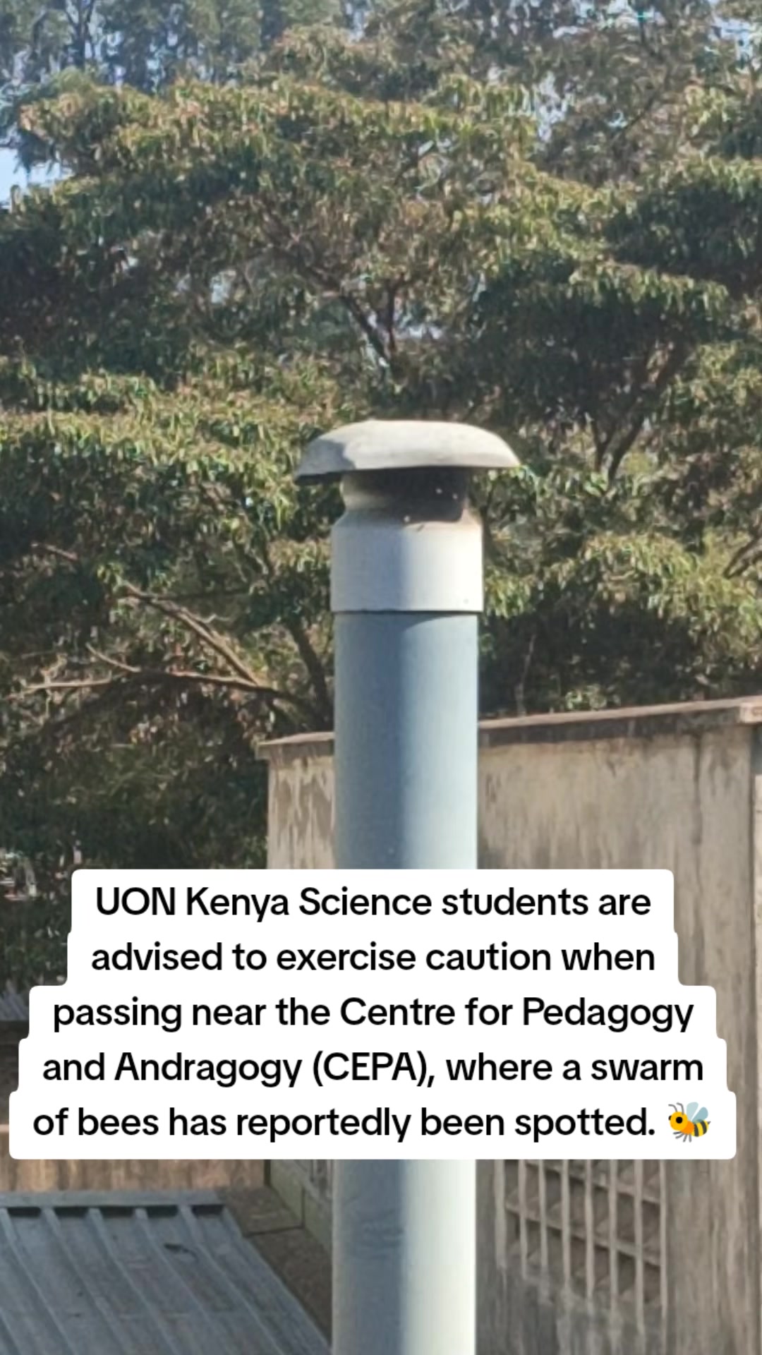 @UON CLABU TRENDS