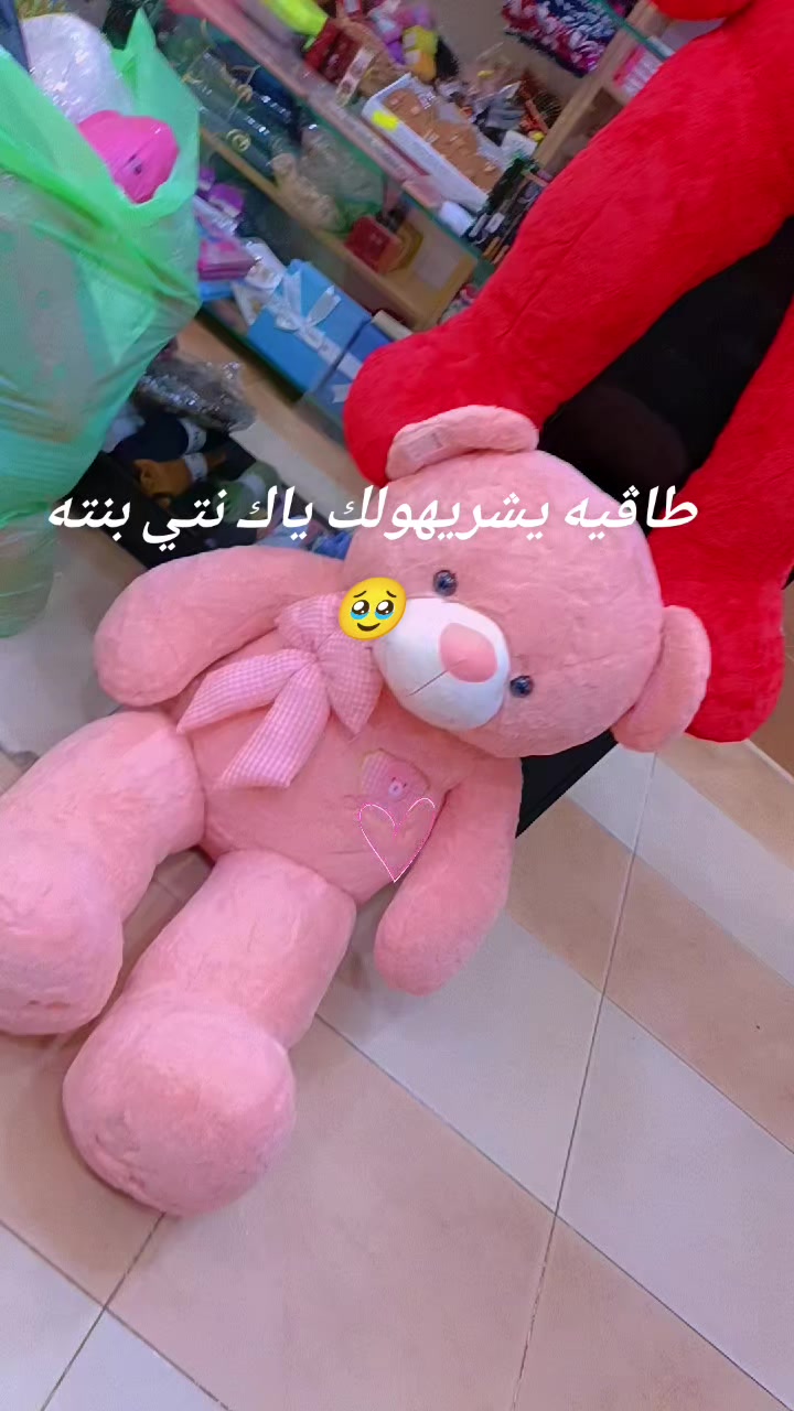 @Dream Box💗