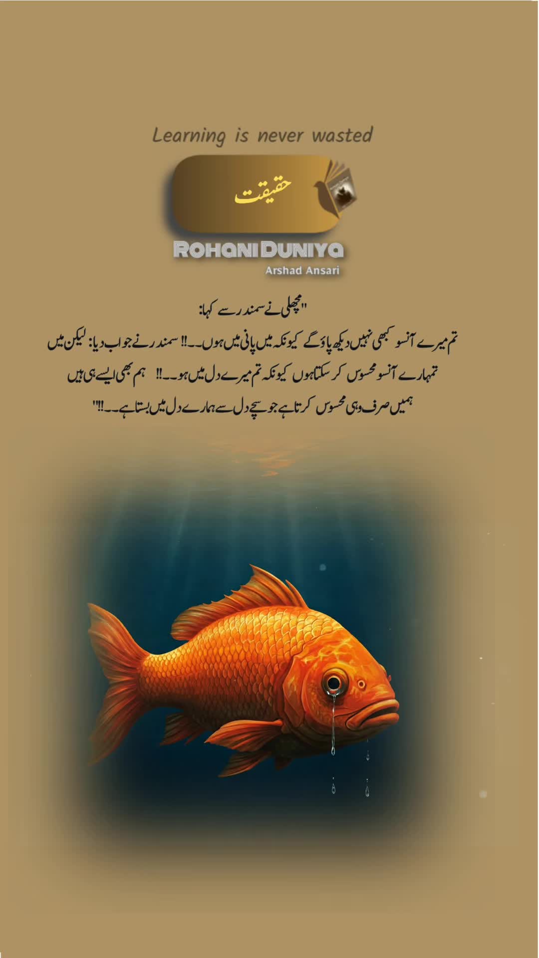 @Rohani Duniya ✨