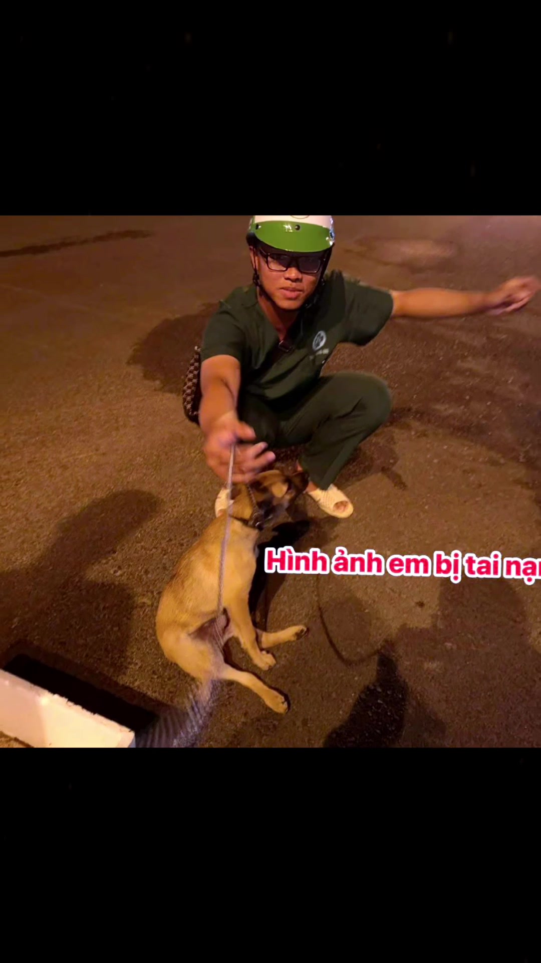 @yeuthuongchomeoba5