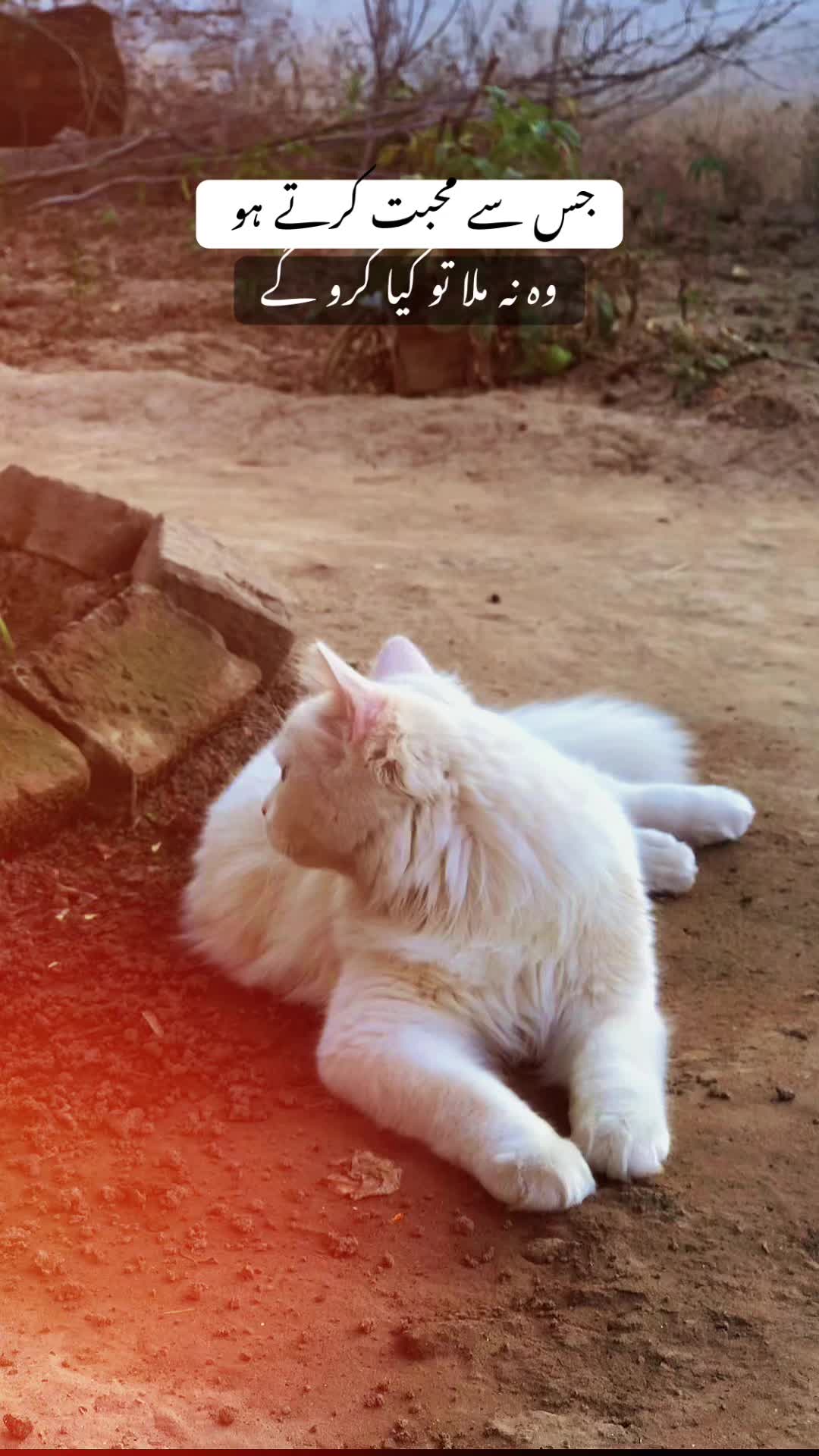 @🥂حسن جی