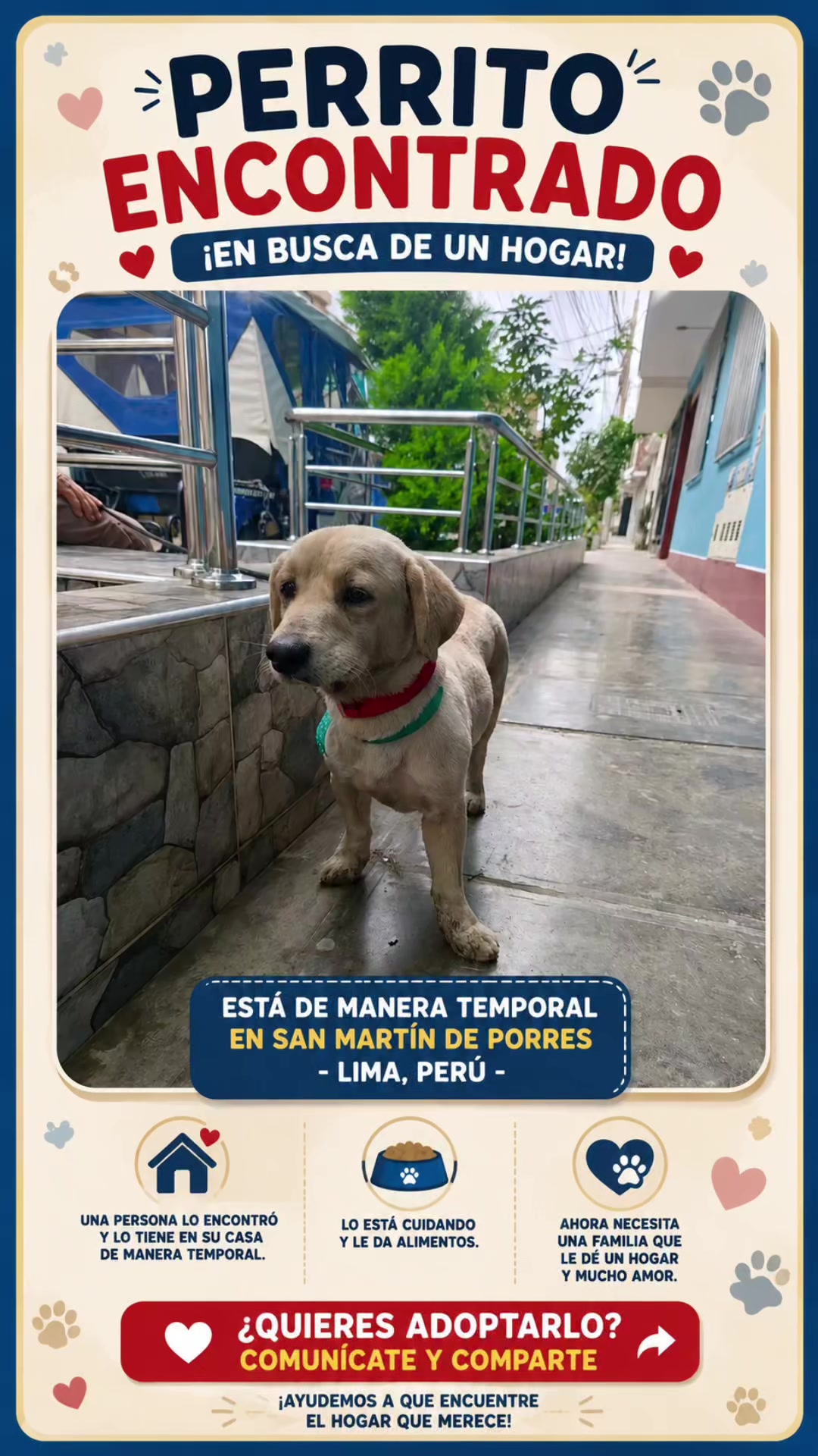 @Perritos Voladores