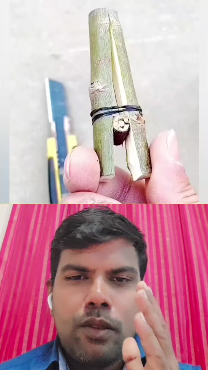 @user17446384362