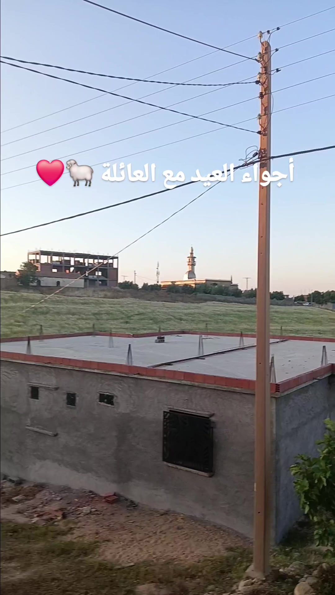 @シ゚ 𝓐 ♡♡ 𝕸𝕱𝕶 シ゚