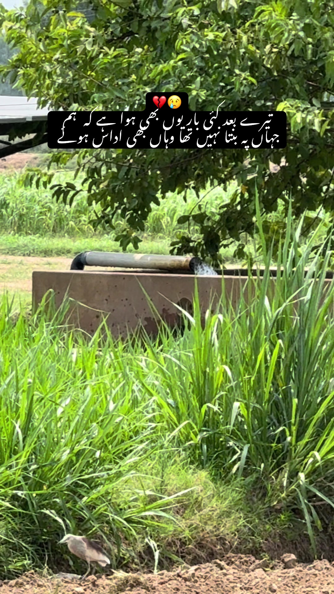 @faizbhatti1120