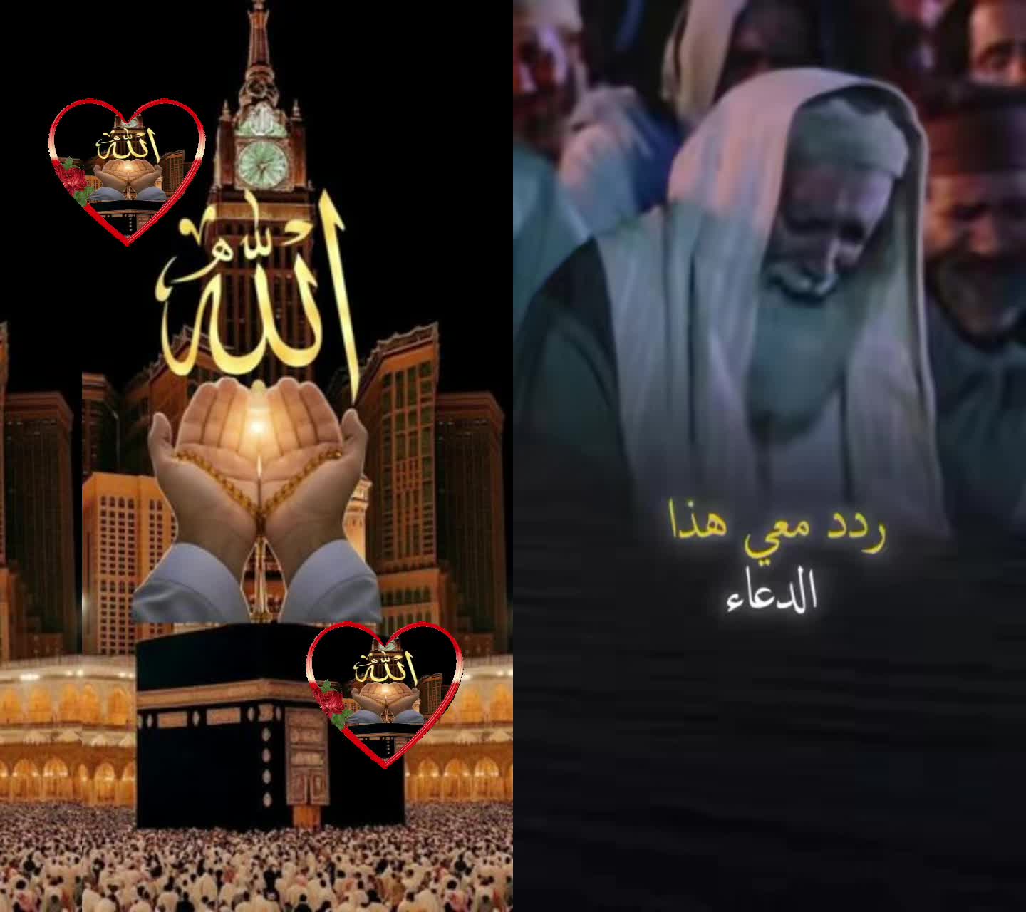 @maryan abu bakarll