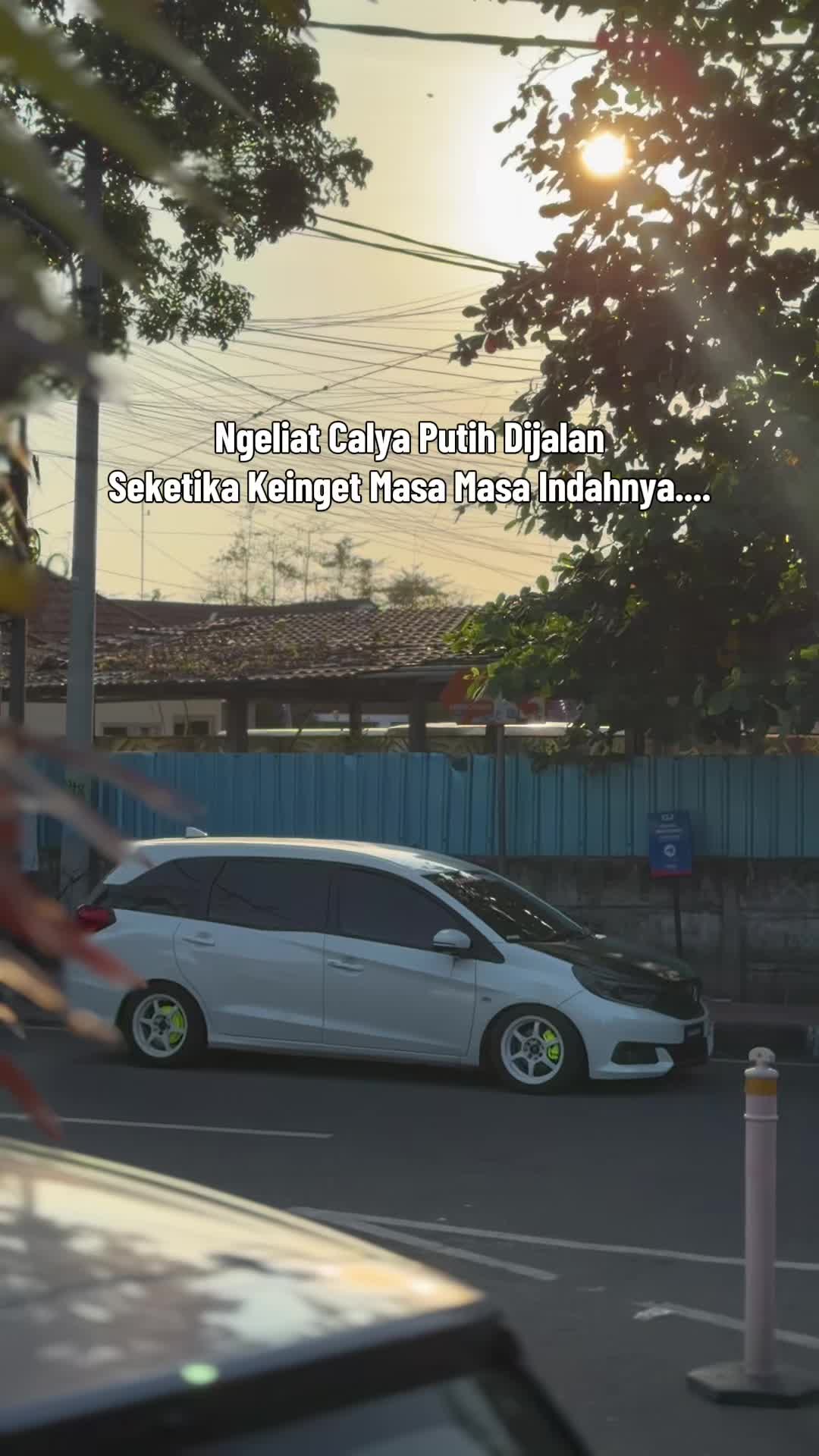 @VANDRA🪬