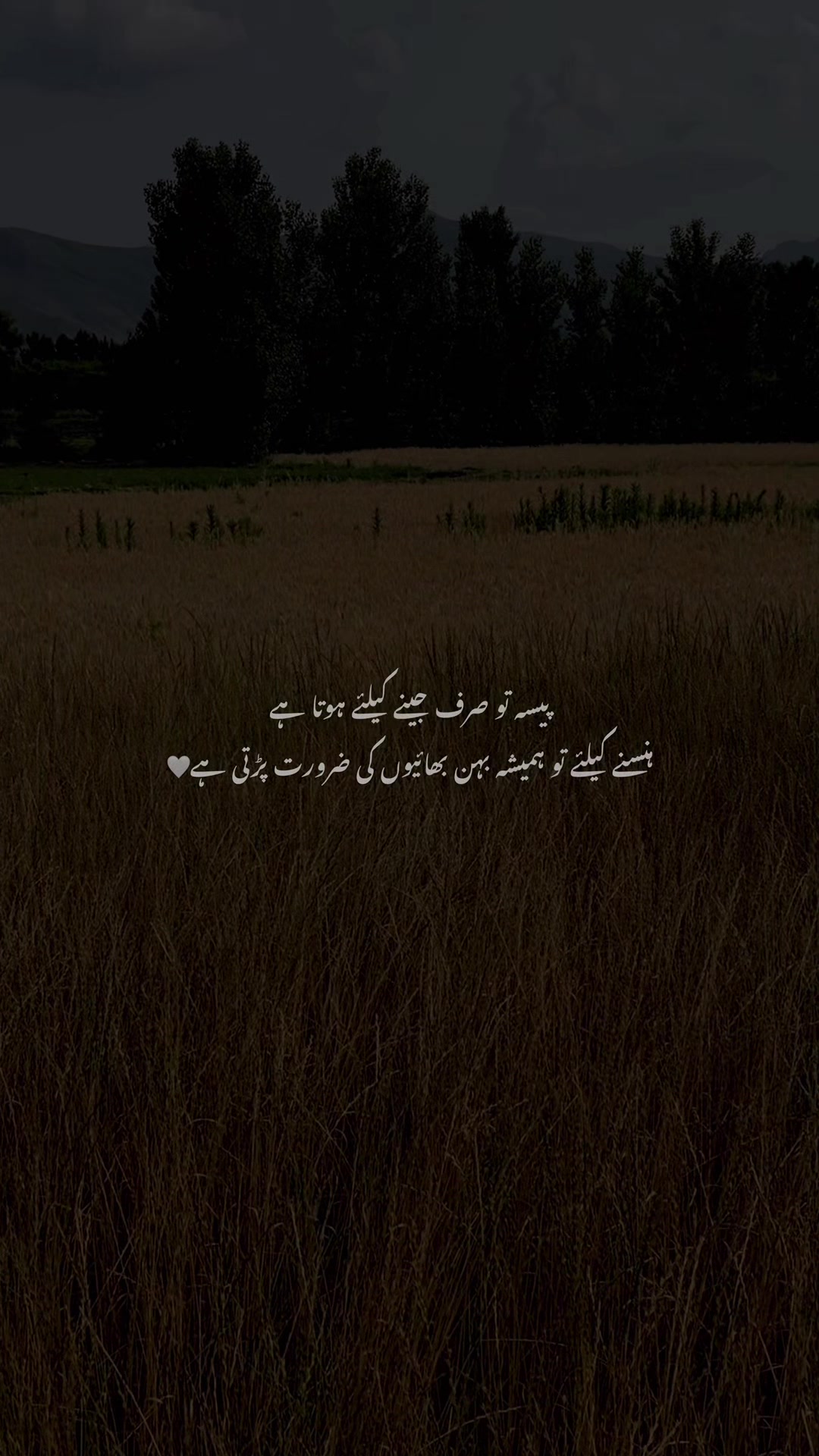 @E N Z O ♡