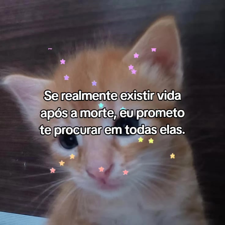 @Lari