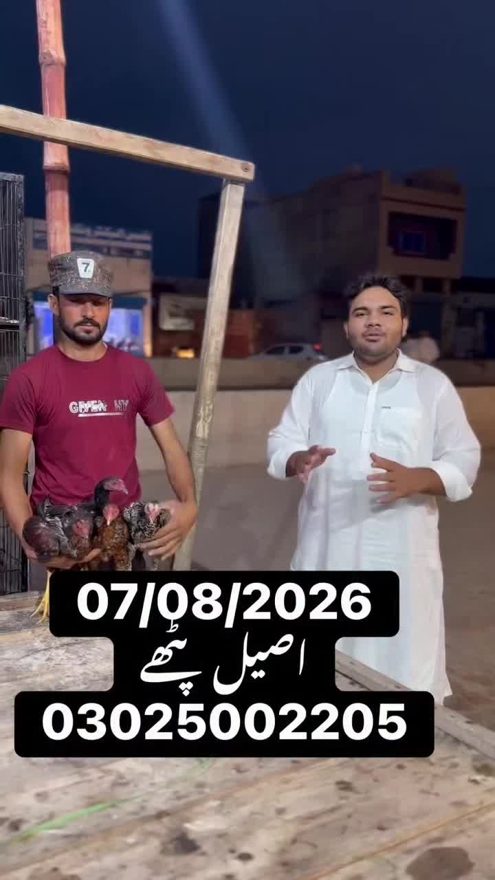@شیخ احمد جلال منا