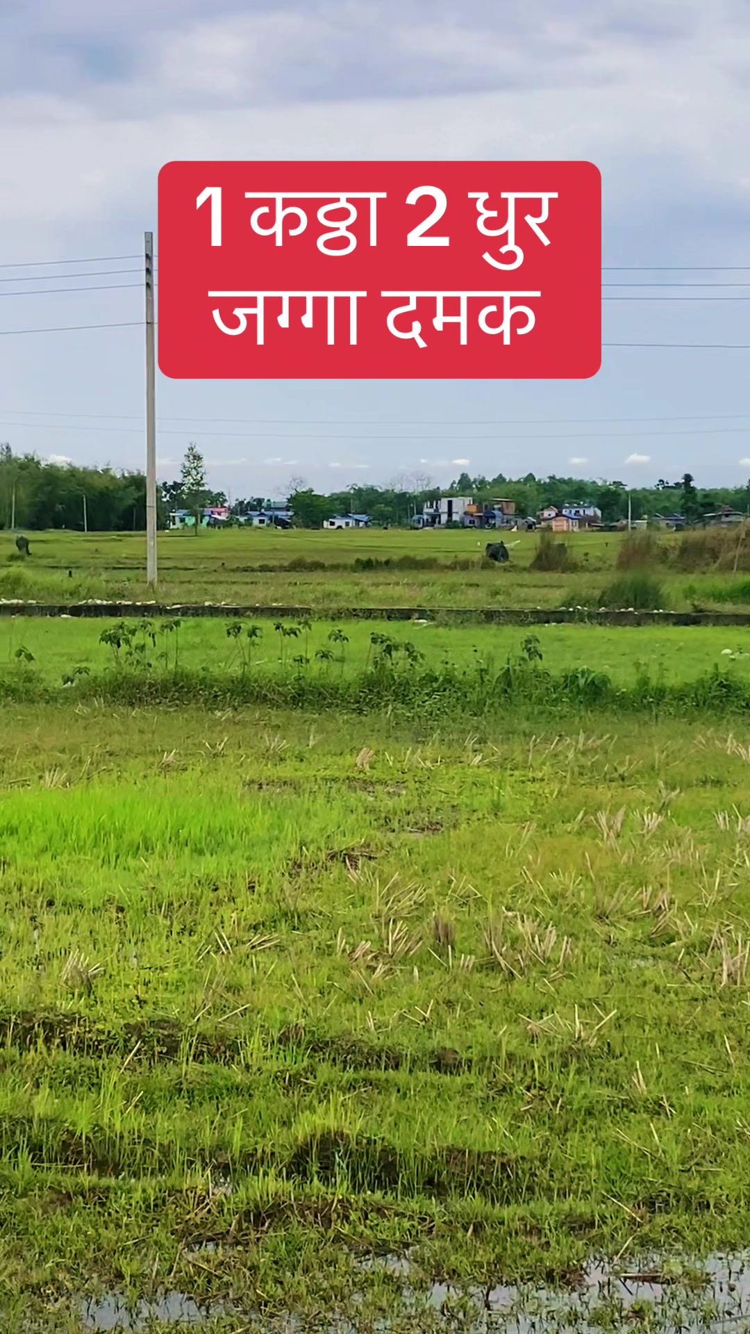@Bhuban Thapa Real Estate