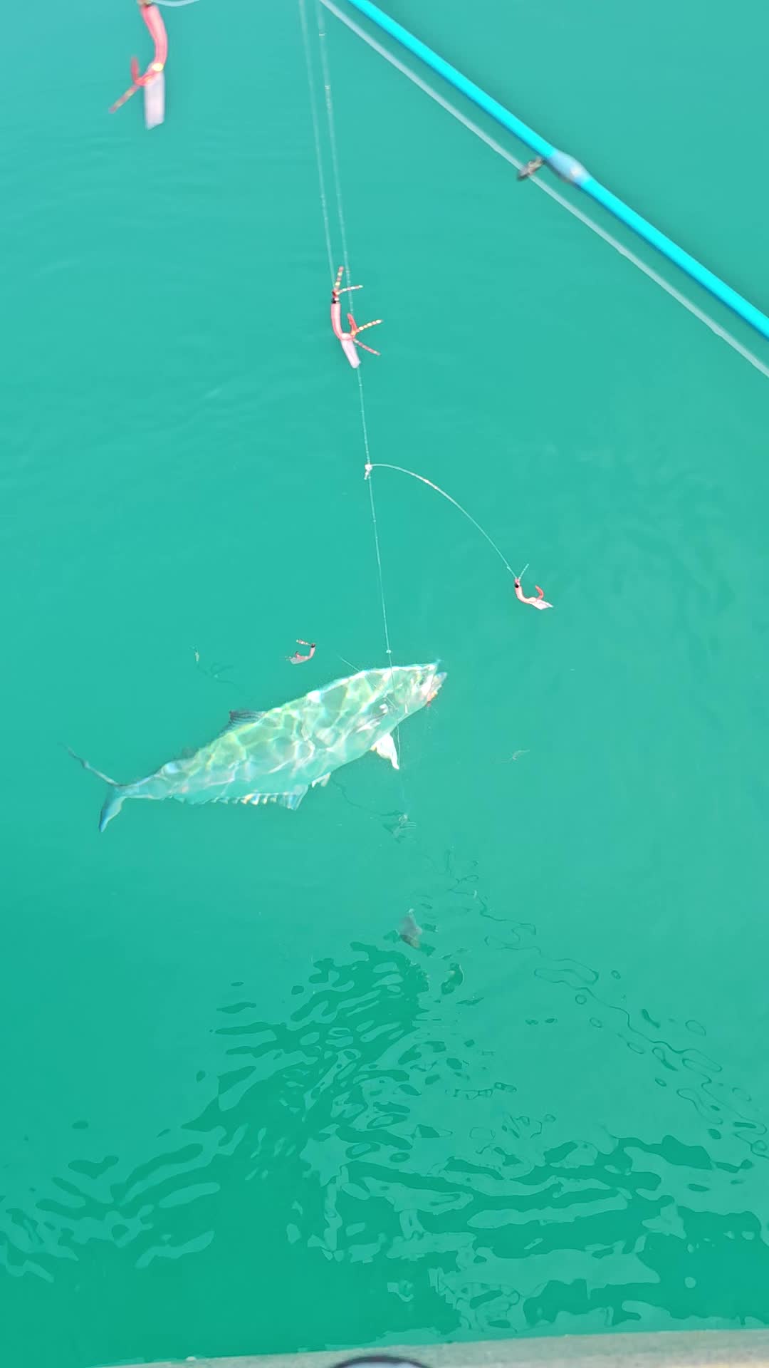 @Gene Fishing Tv