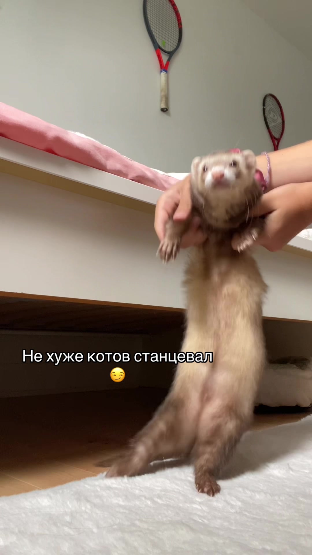 @F_u_r_e_t🐾✨🤍