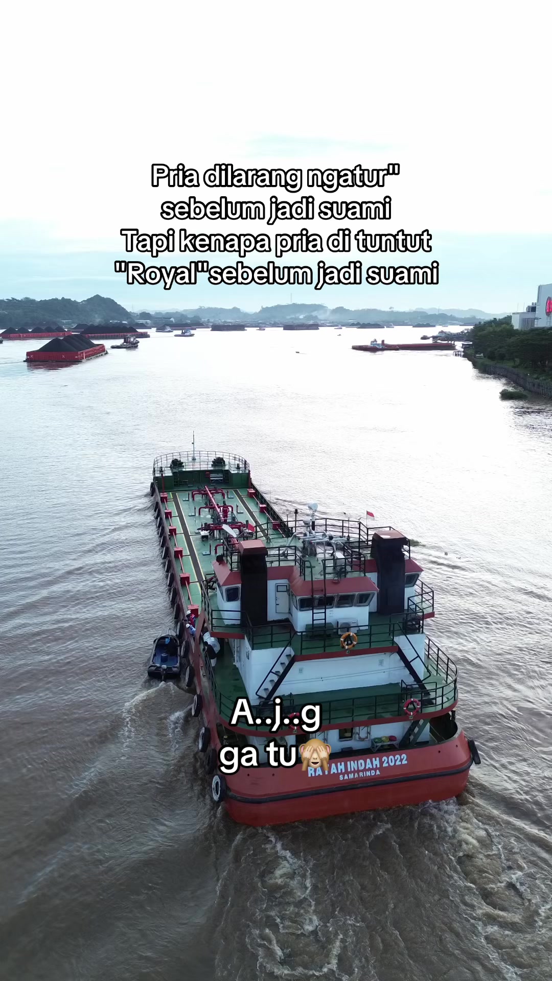 @Pesut_Mahakam95🐳