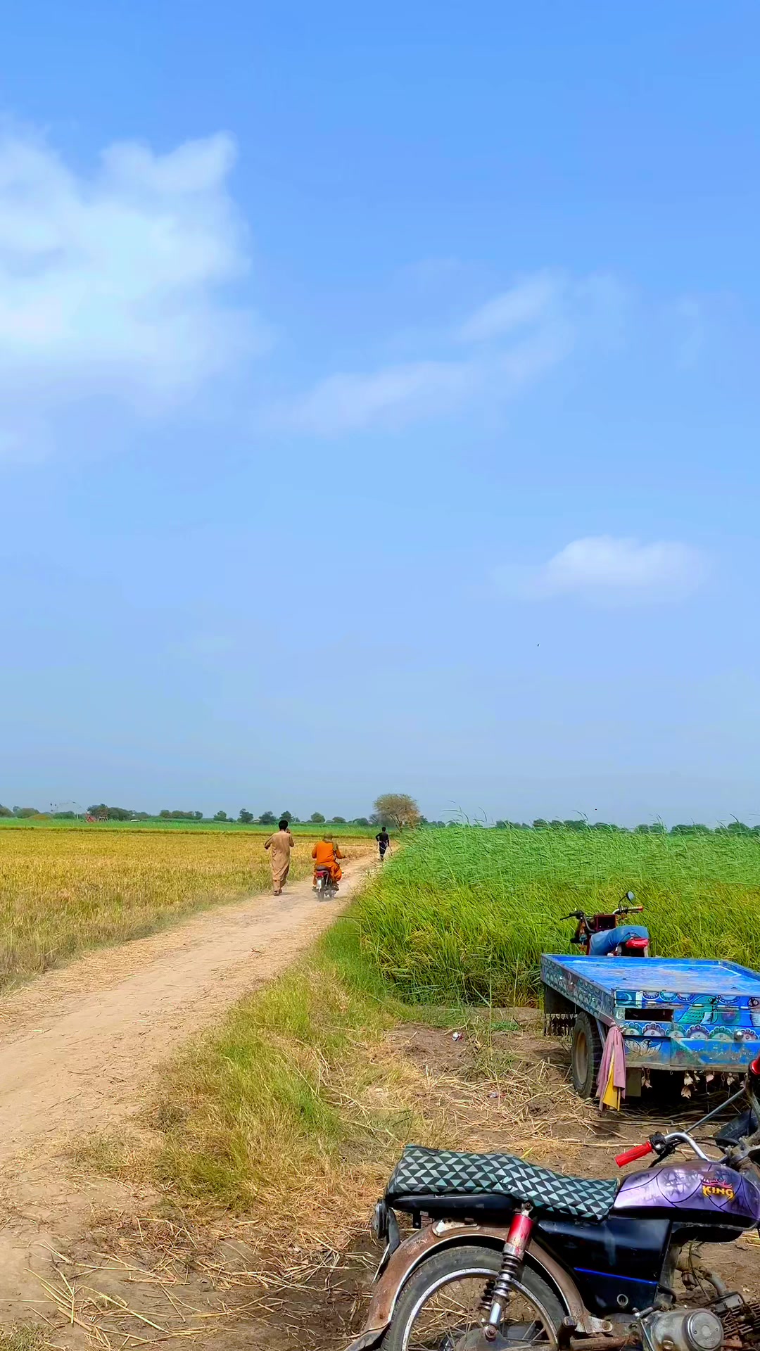 @Sardar Meer Faisal Rind
