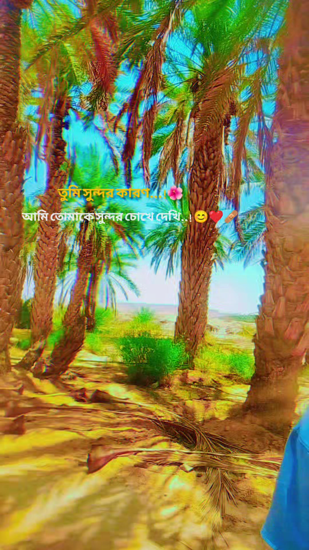 @MD Mobarok
