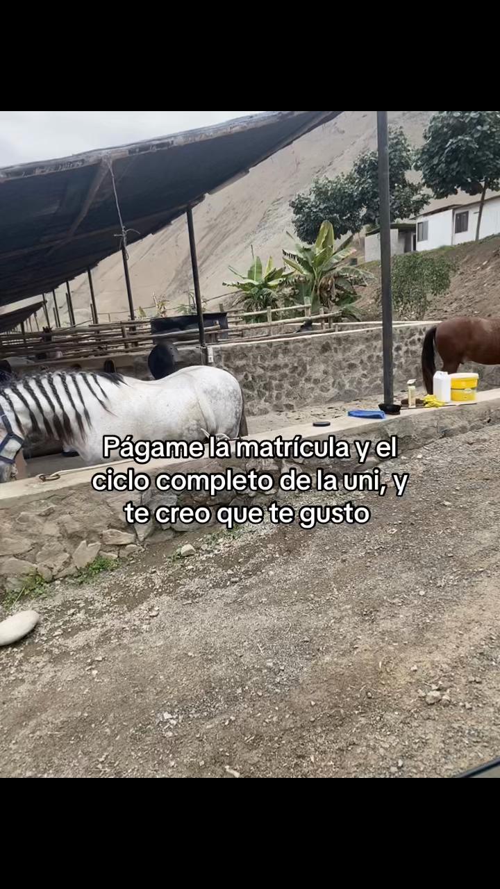 @Teffaa🎀