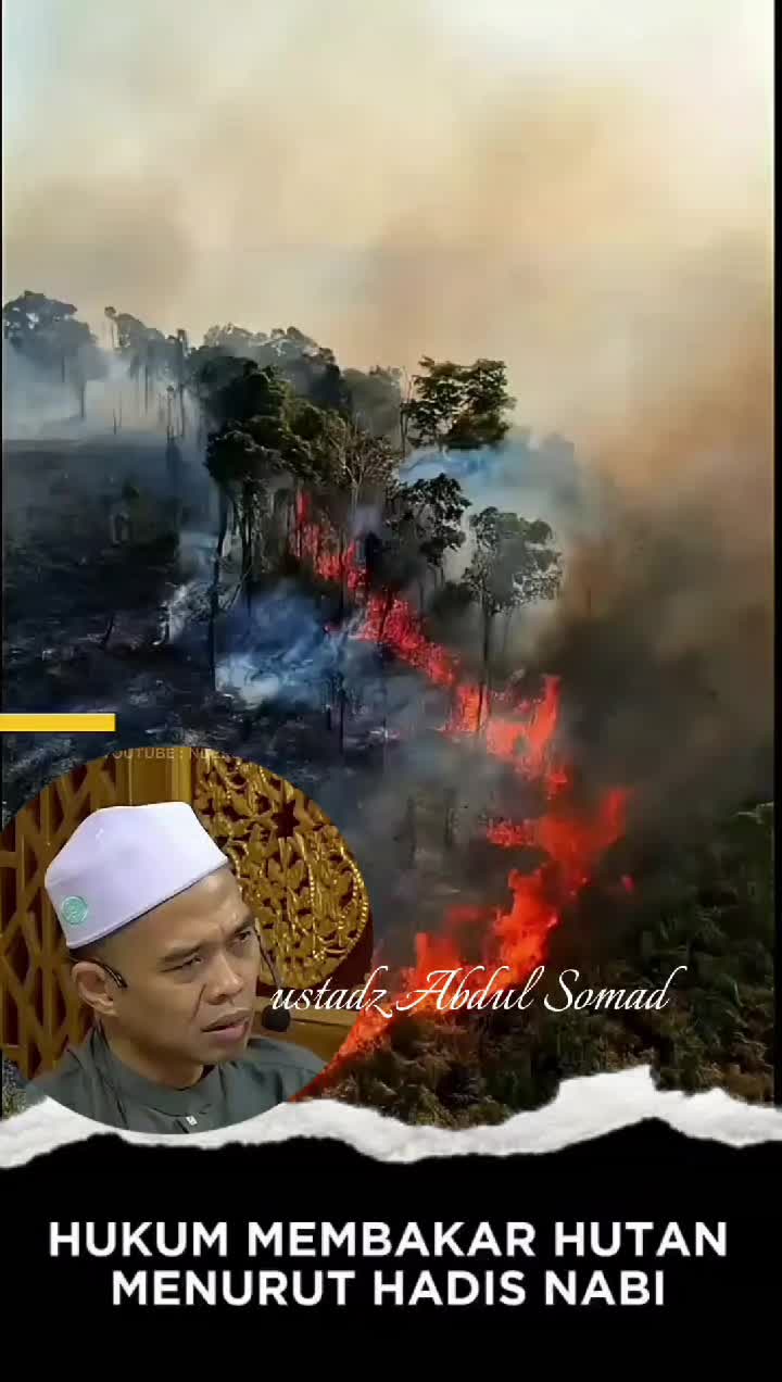 @pecinta majelis official✅