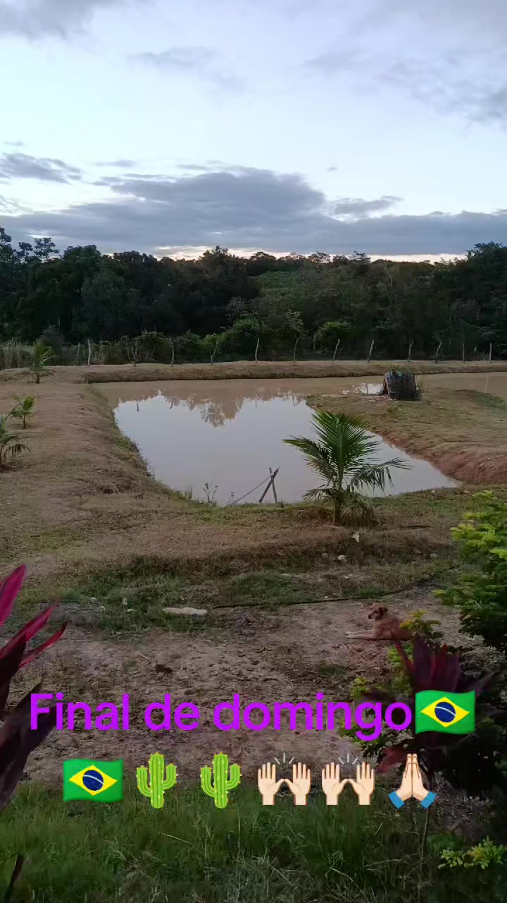 @Ly Bernardes vida no Nordeste