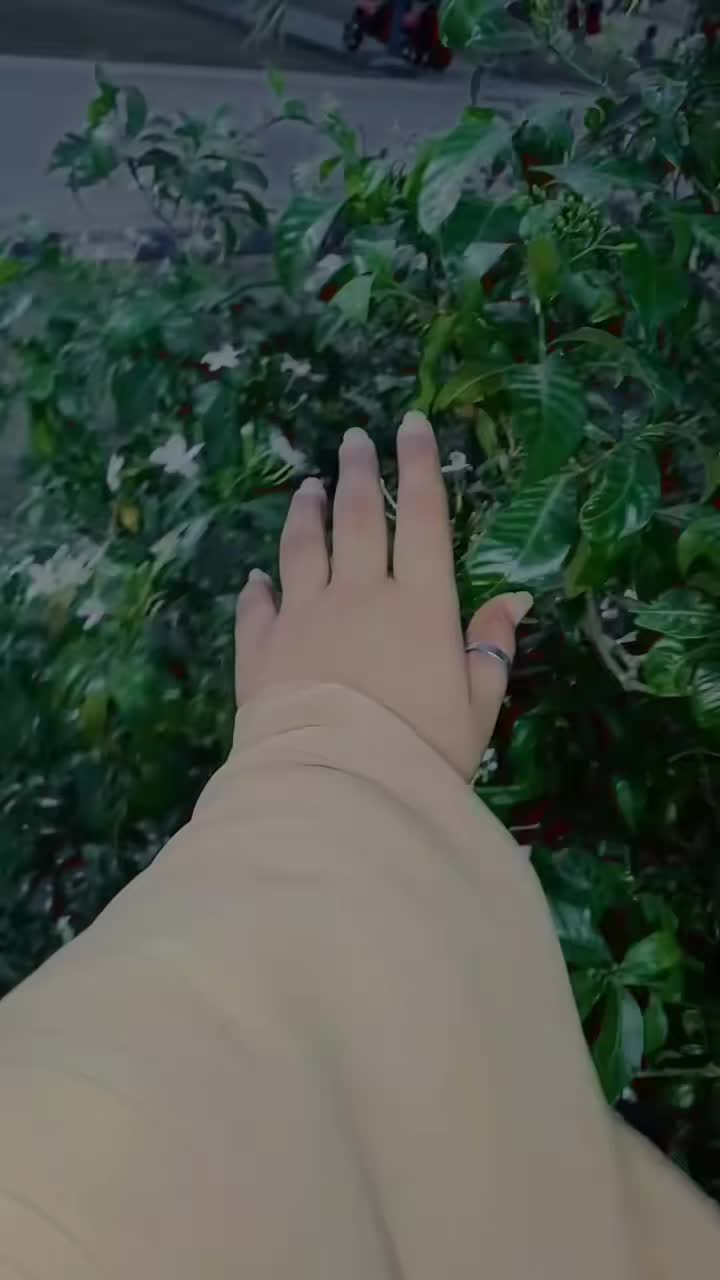 @Ashi👥 Rajput