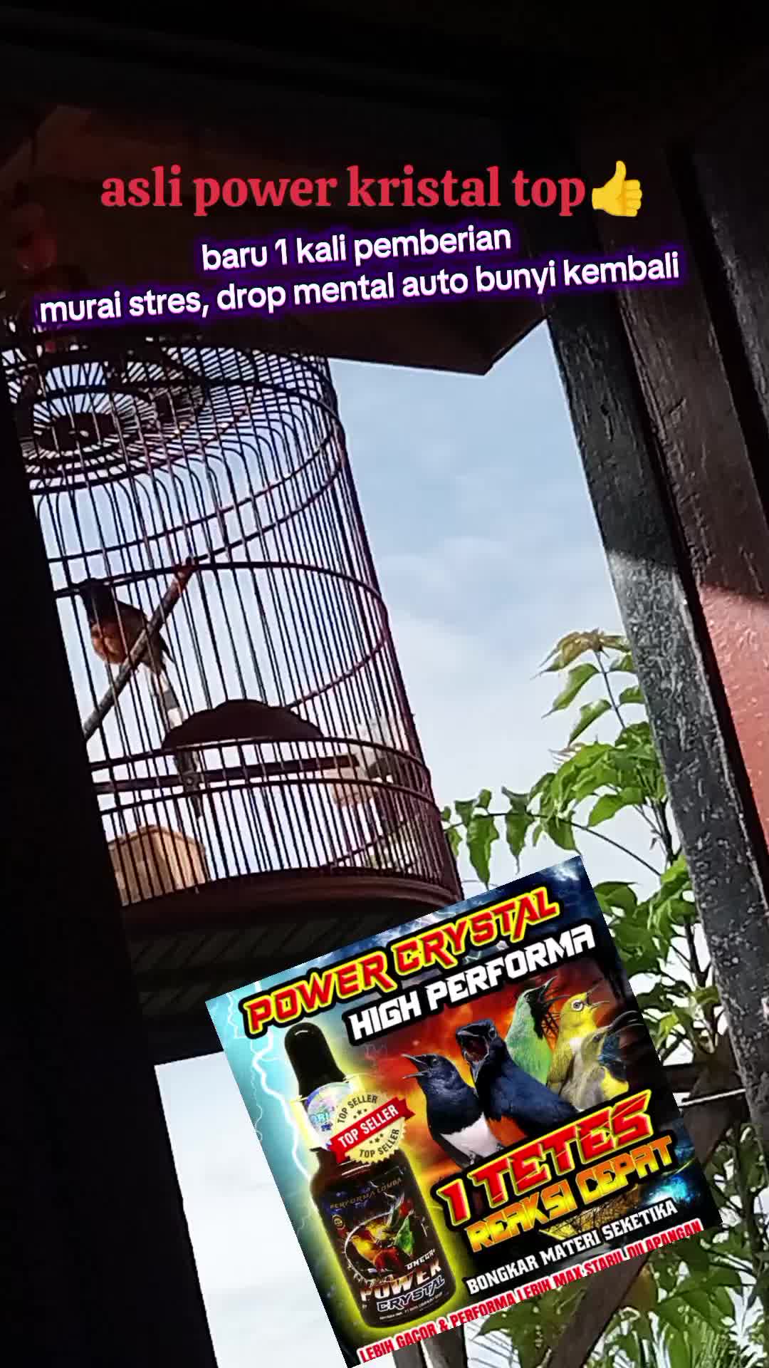 @dunia ternak