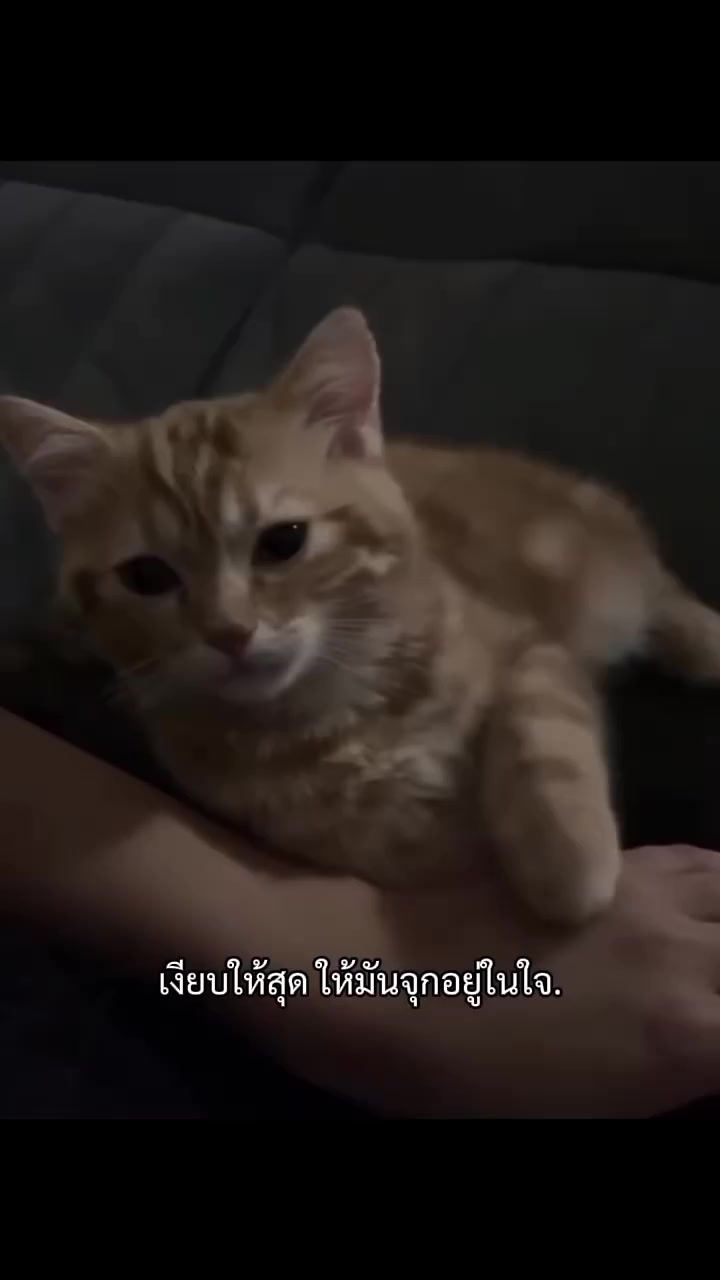 @...☹️💔