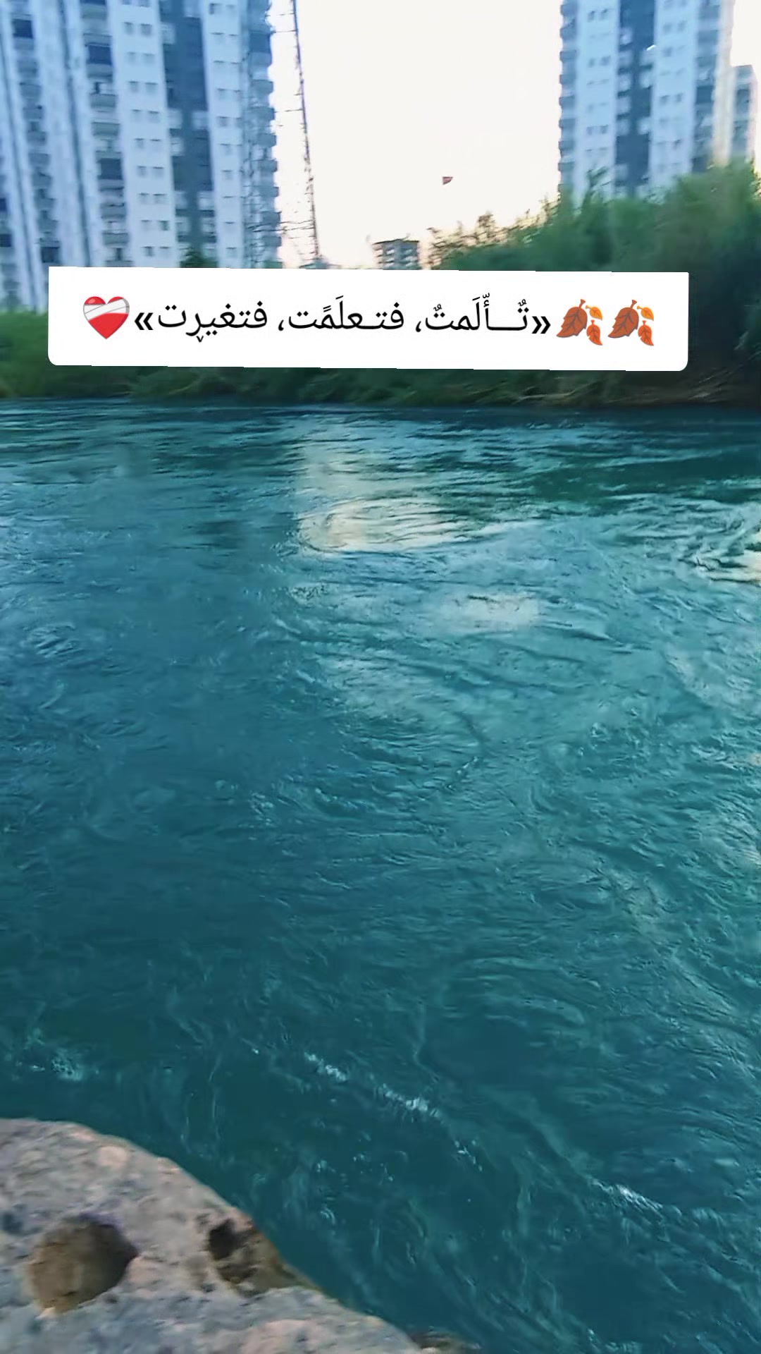 @꧂ أمـْـْْـْ آدمـْـْْـْ canısı