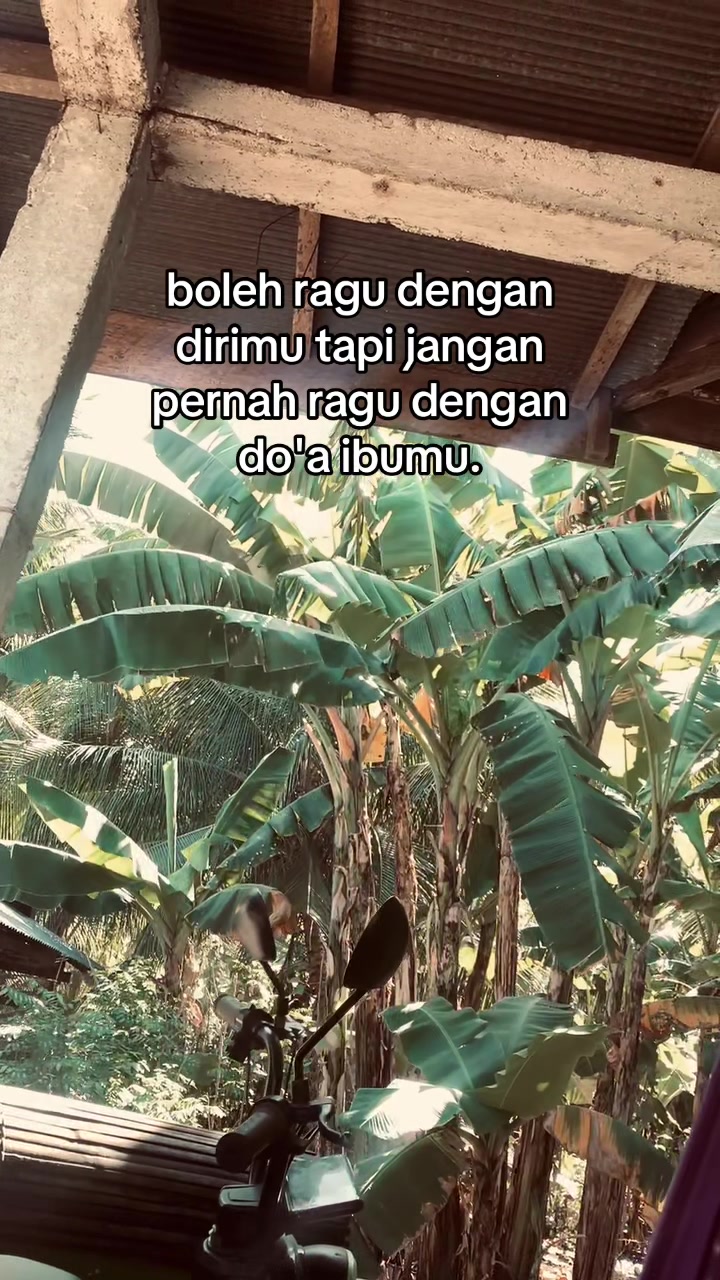 @labeccu_11