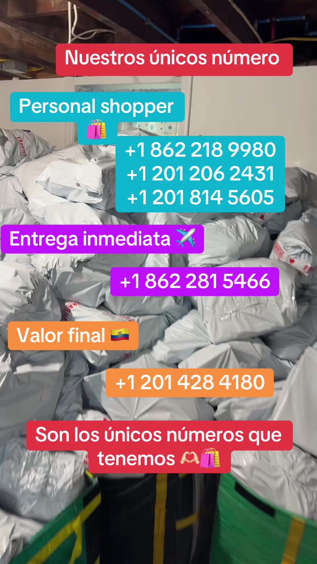 @Bibi Bonilla