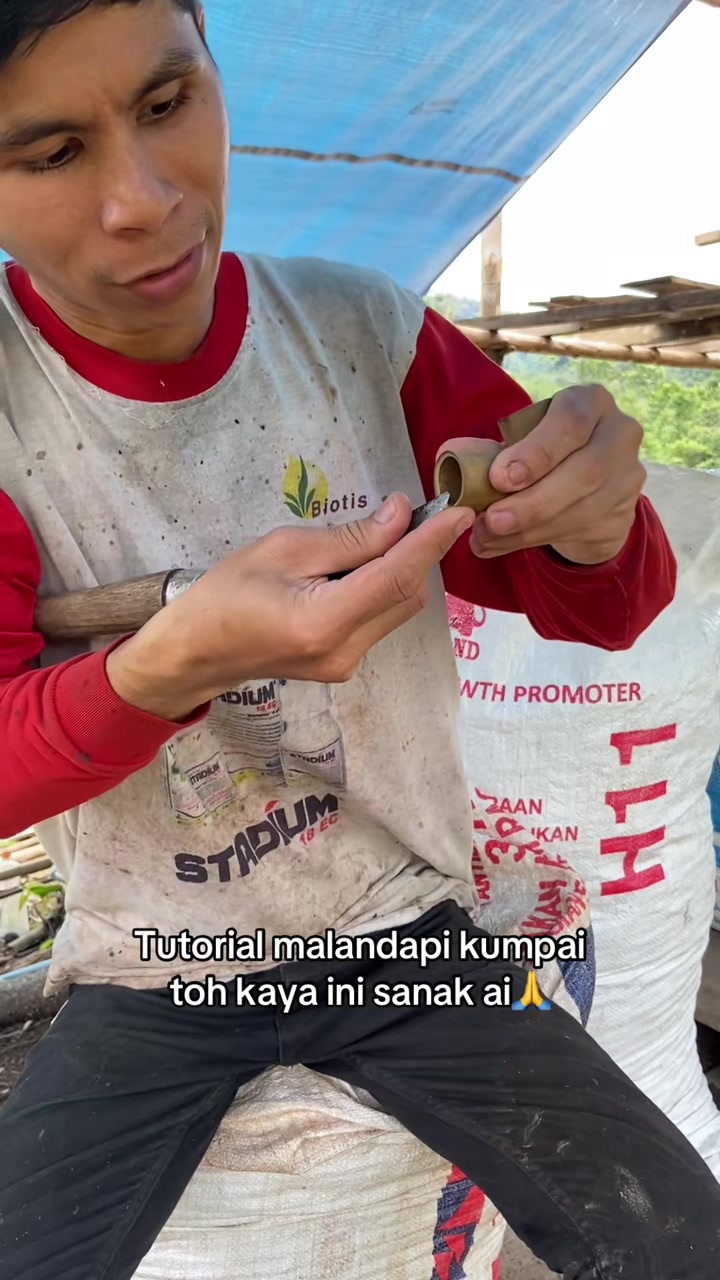 @ORANG TAKAHIGA✅