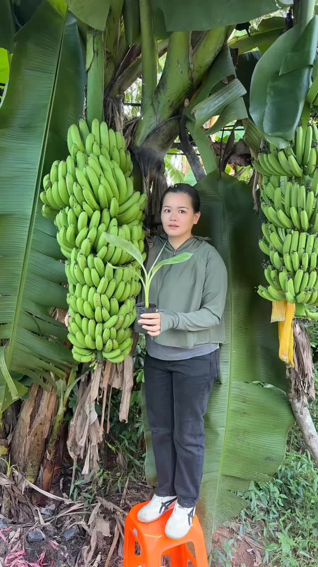 @konga1i