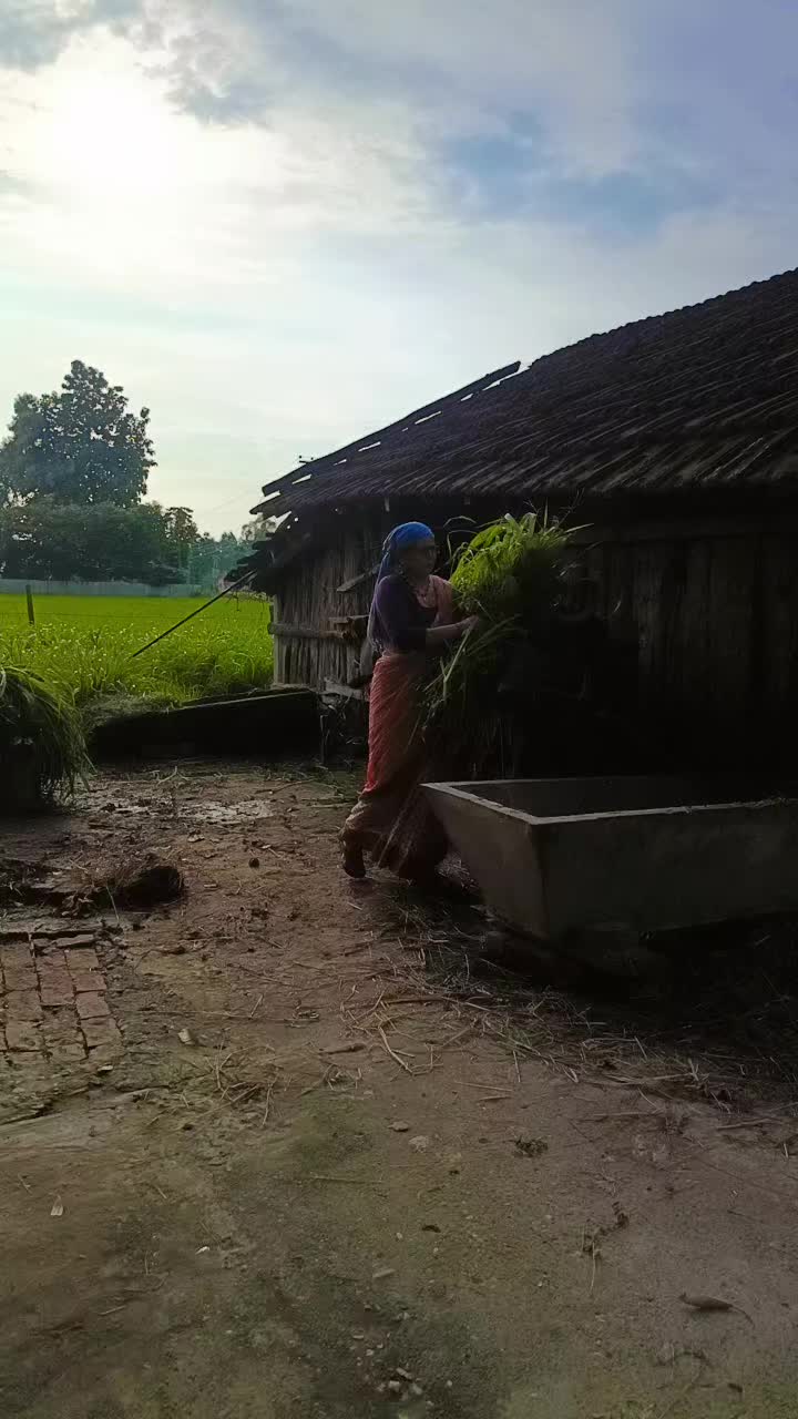 @Madhavi Bhatta