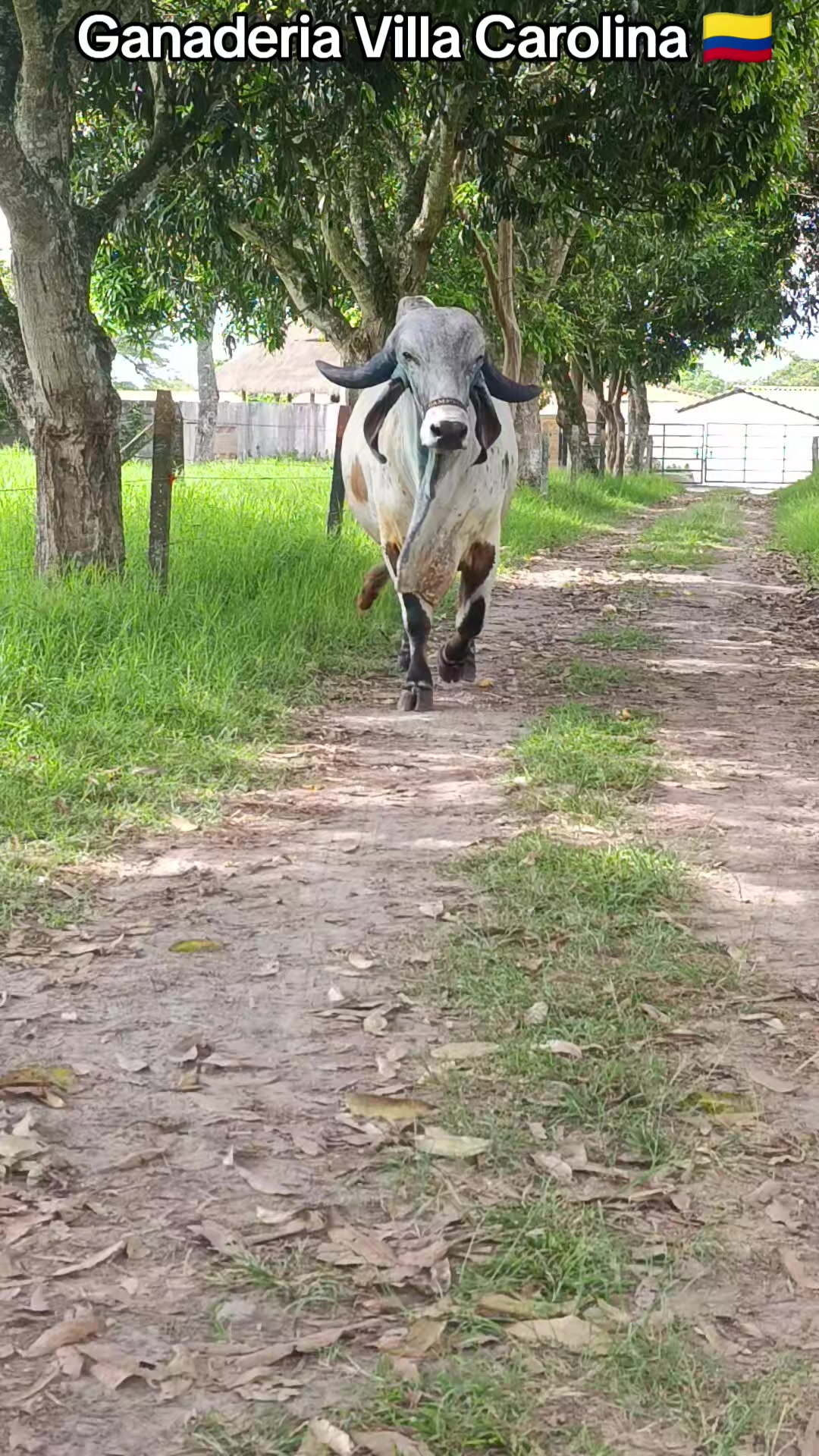 @gonzalezpaezjimmy