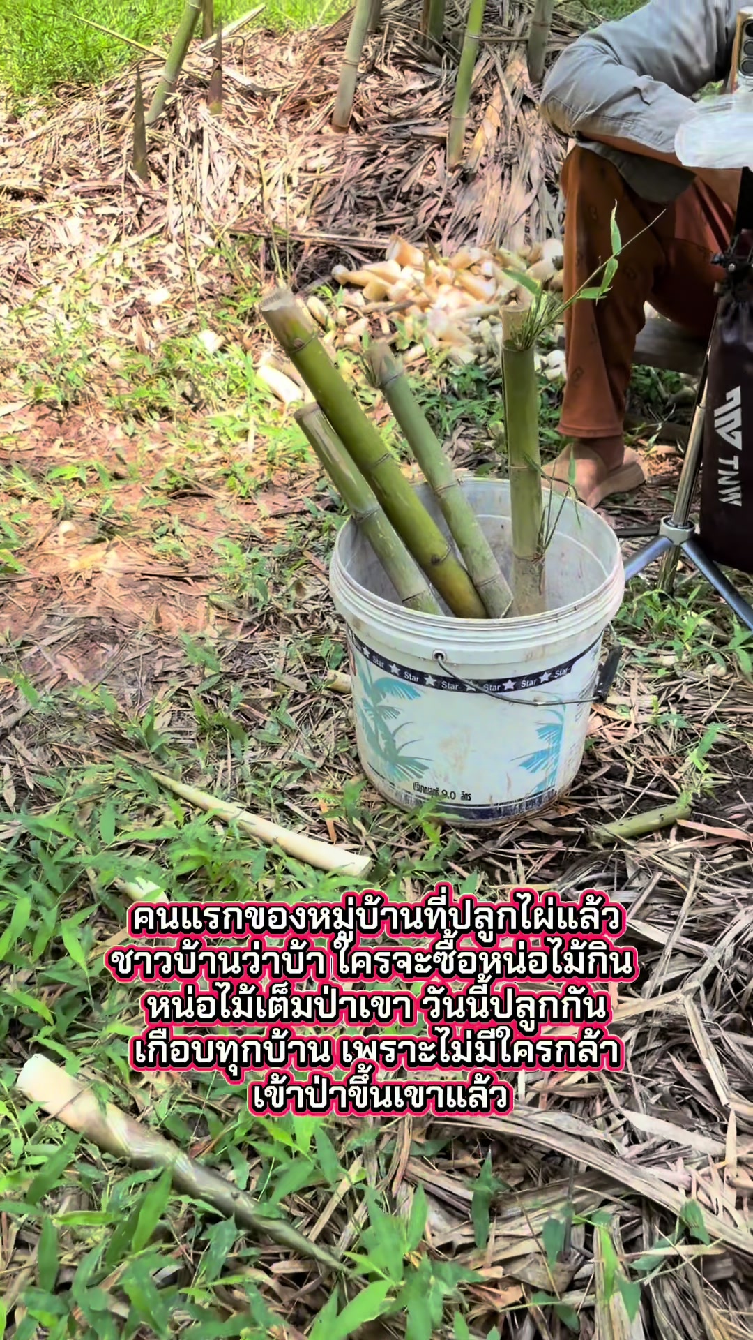 @นัดดาชอป