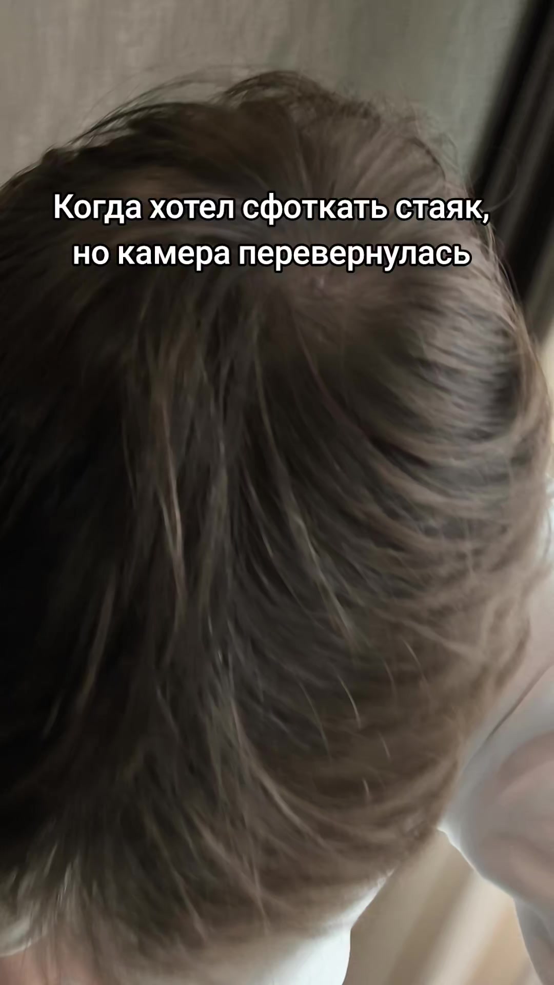 @тгк: Никиток