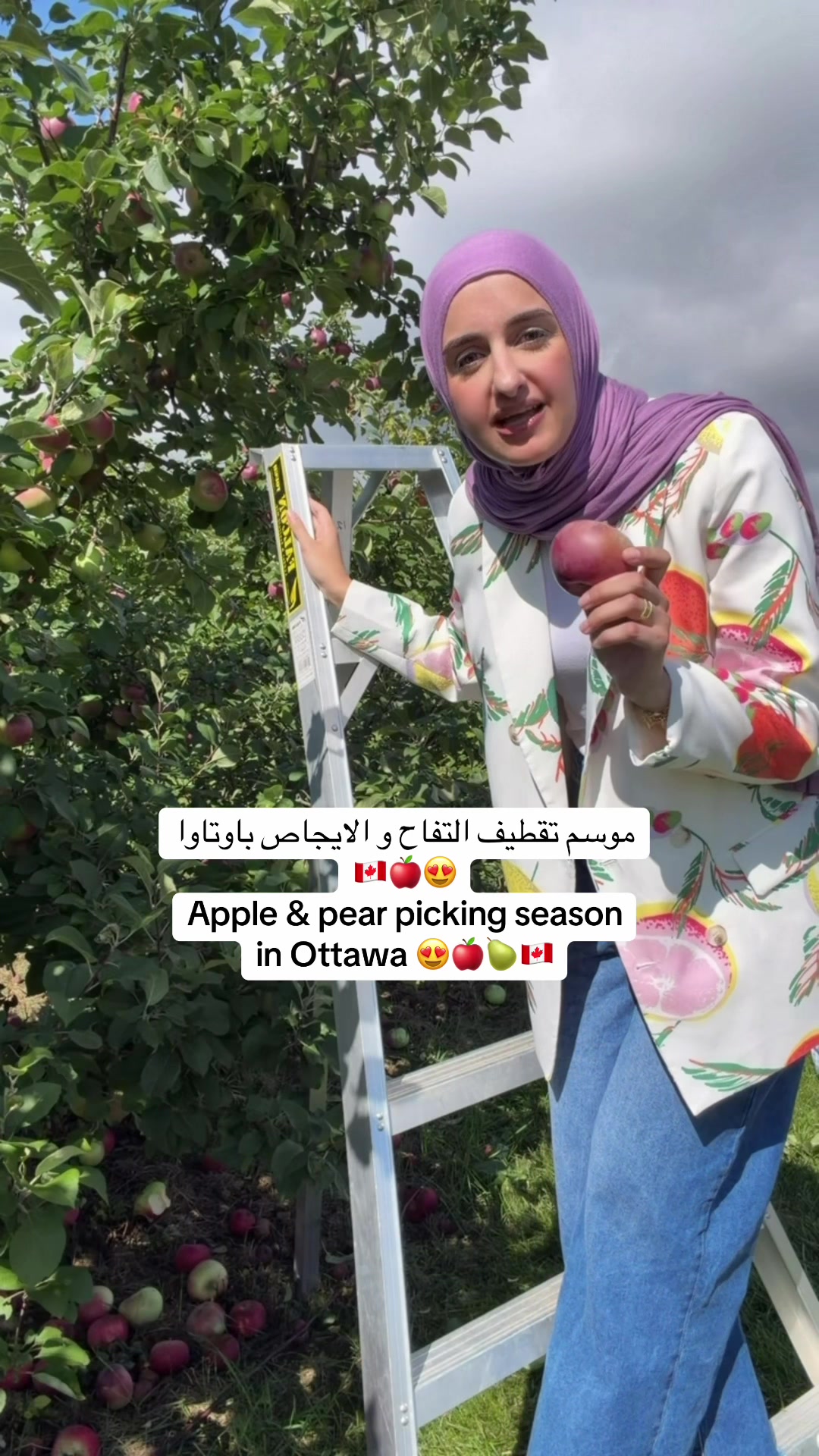 @Sondos | سُندُس 🇵🇸🇨🇦
