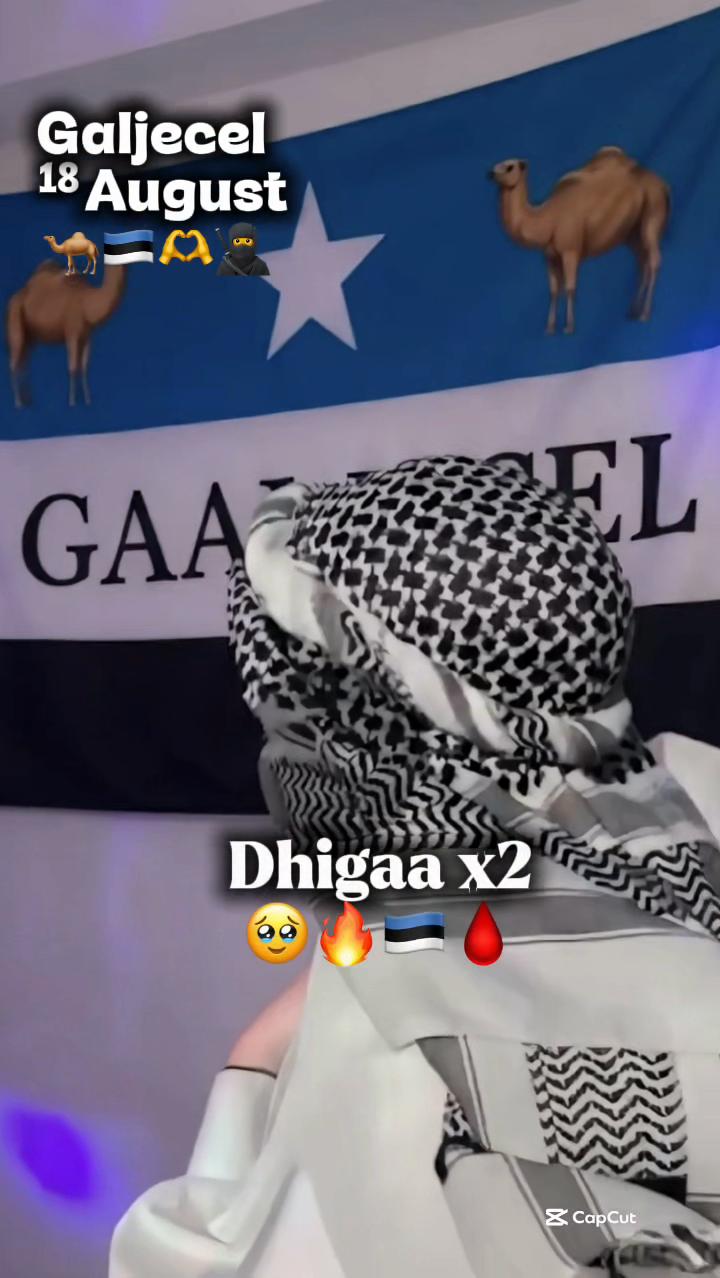 @TV_DAGODIA🇭🇹🦁🫡🦅🚨