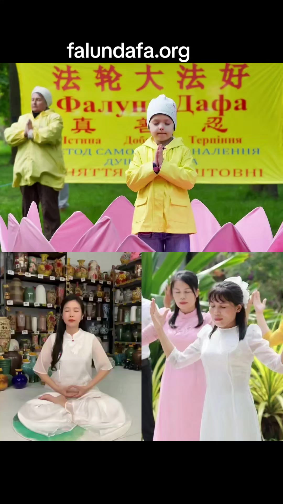 @Hoa Hải