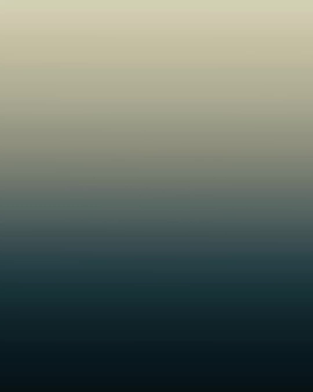 @Fzn_znn