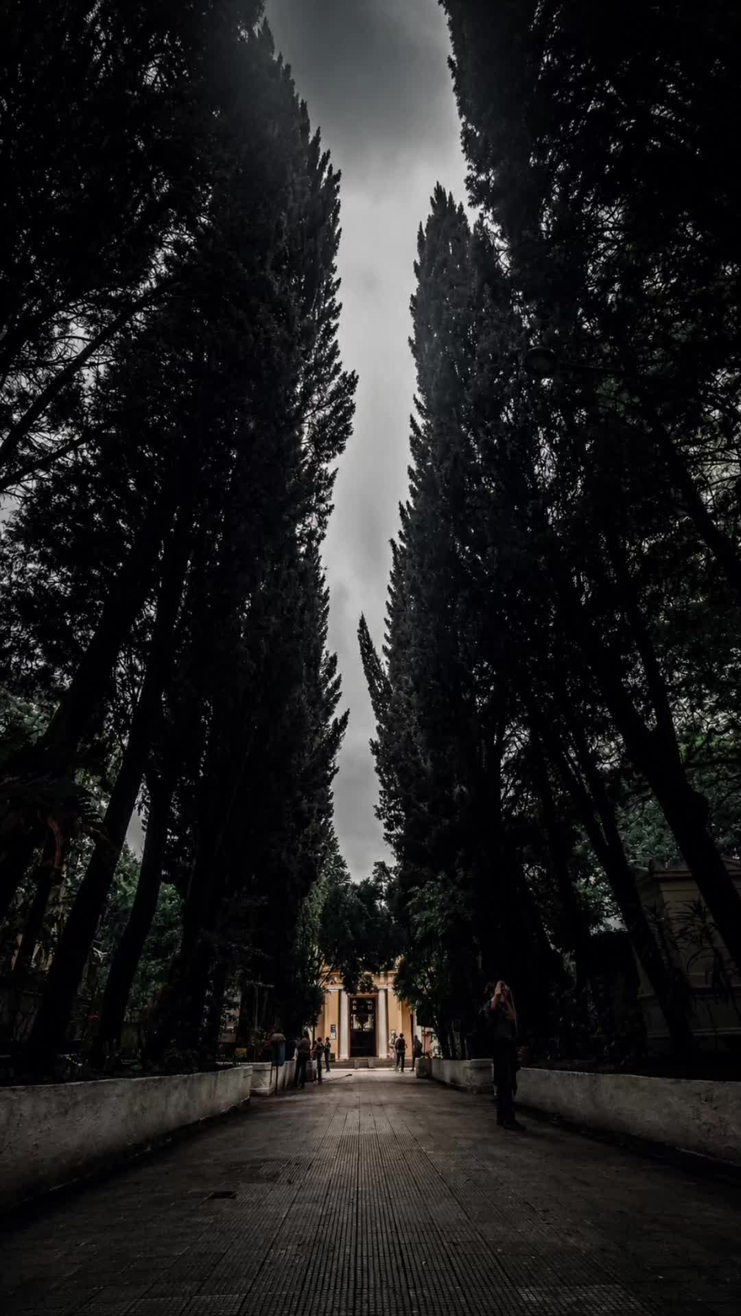 @Louvor e Adora&ccedil;&atilde;o