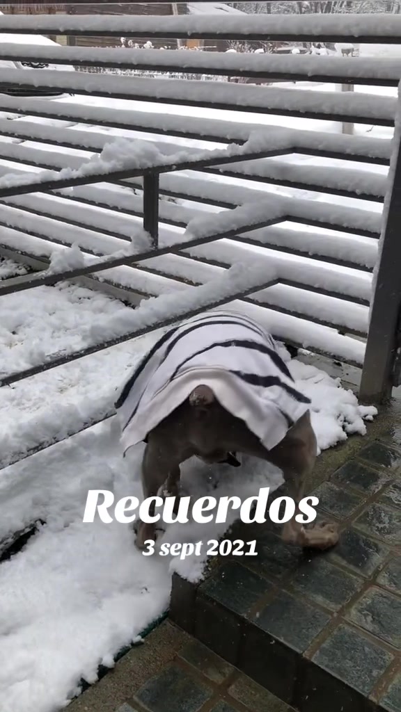@Chinita