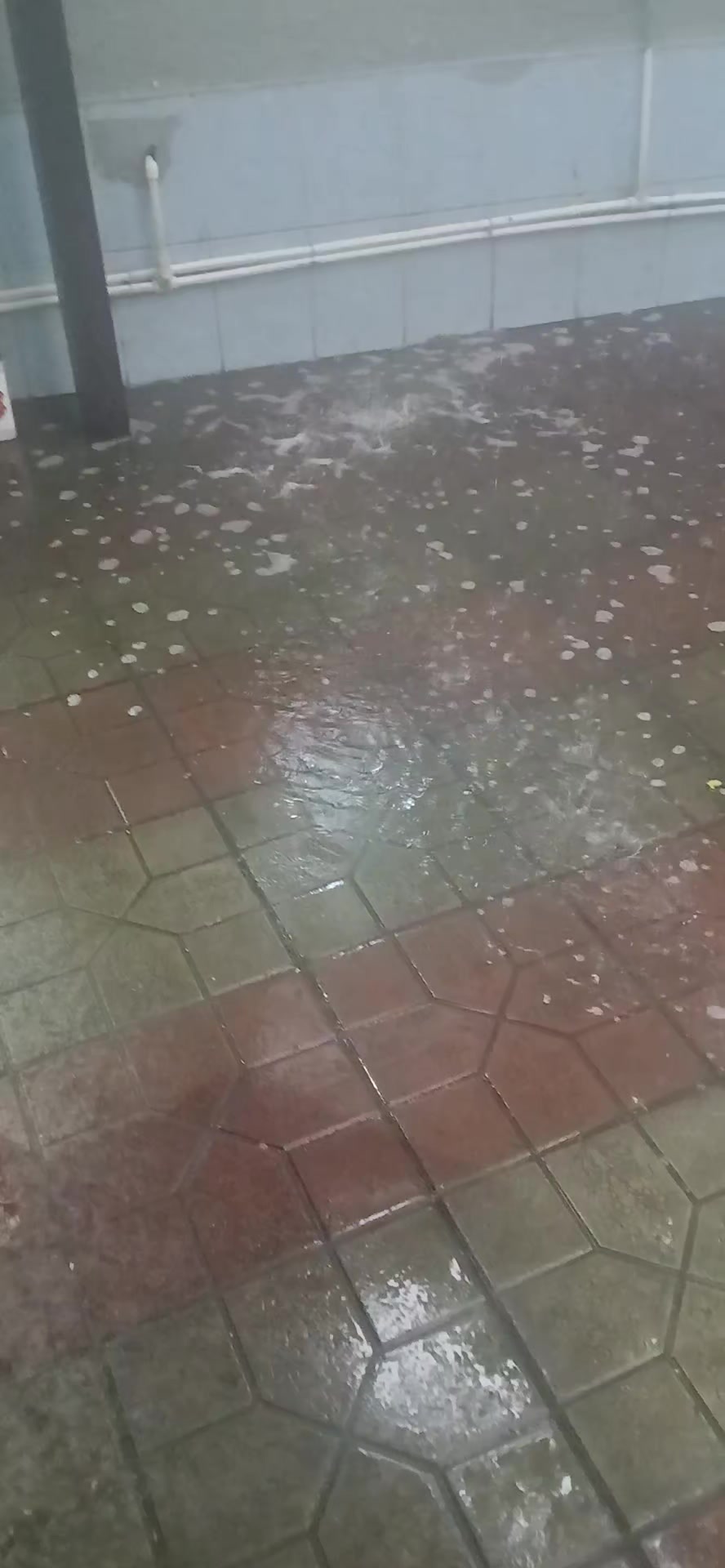 @🇦🇿🇦🇿 Ağdaş