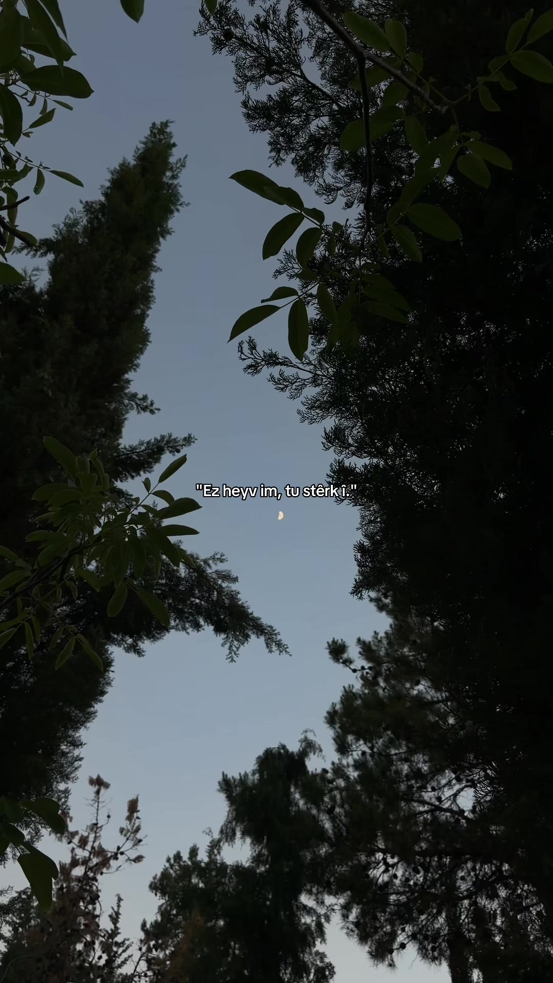@𝓞𝓷𝓼𝓮𝓴𝓲𝔃𝓪𝓻𝓪𝓵ı𝓴
